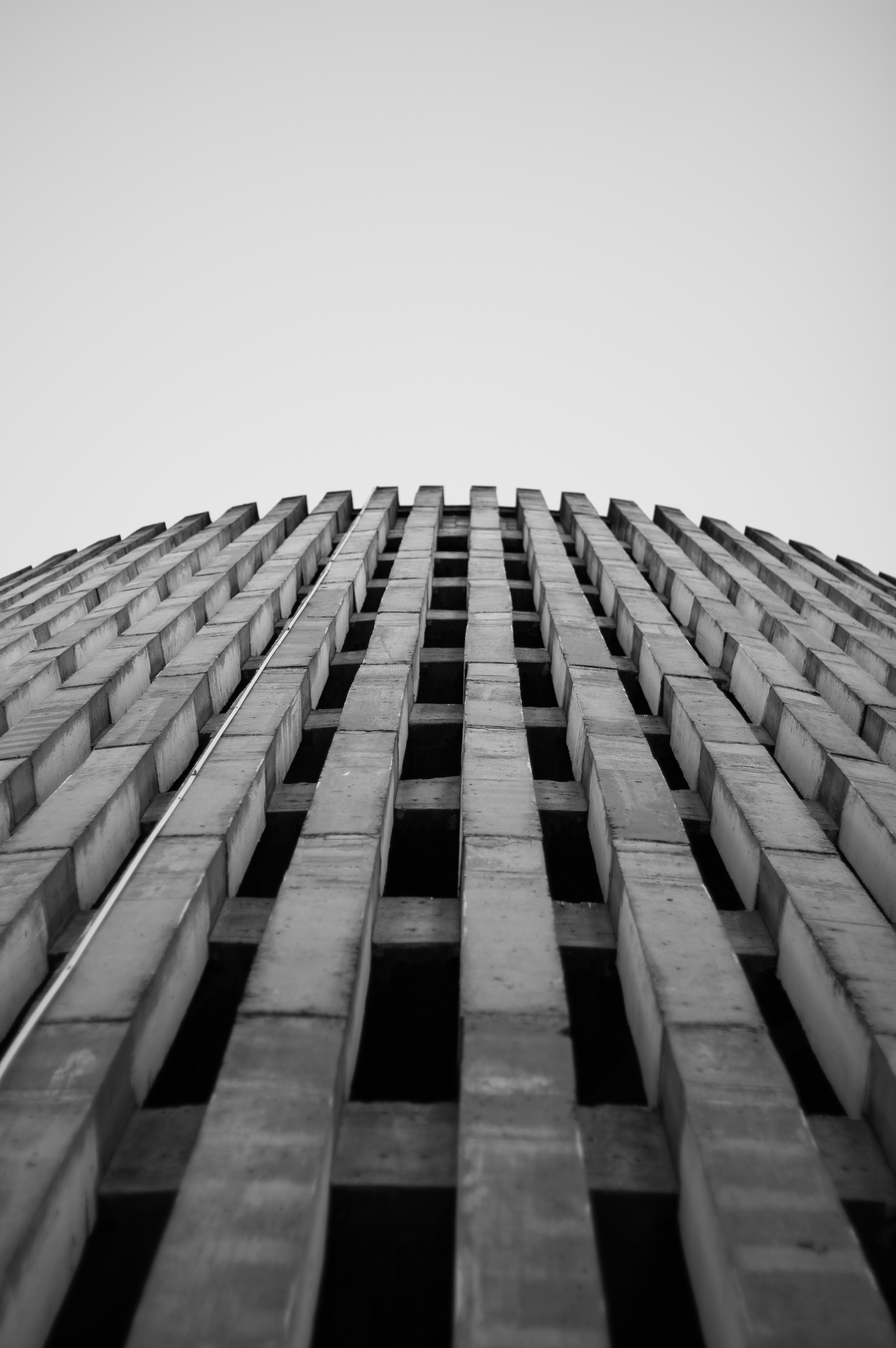 Photo by nata_alvess