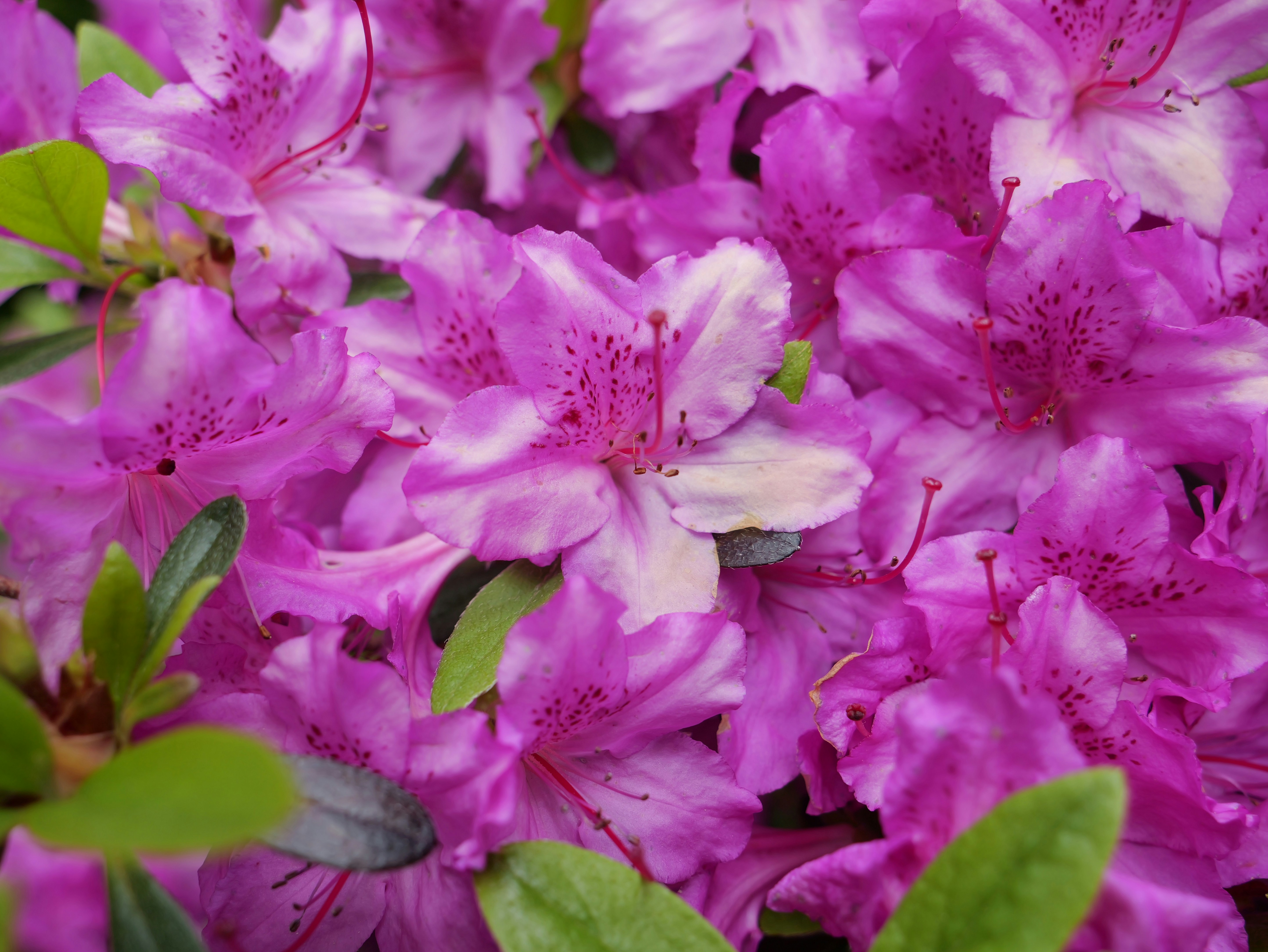 Photo by karonthompson