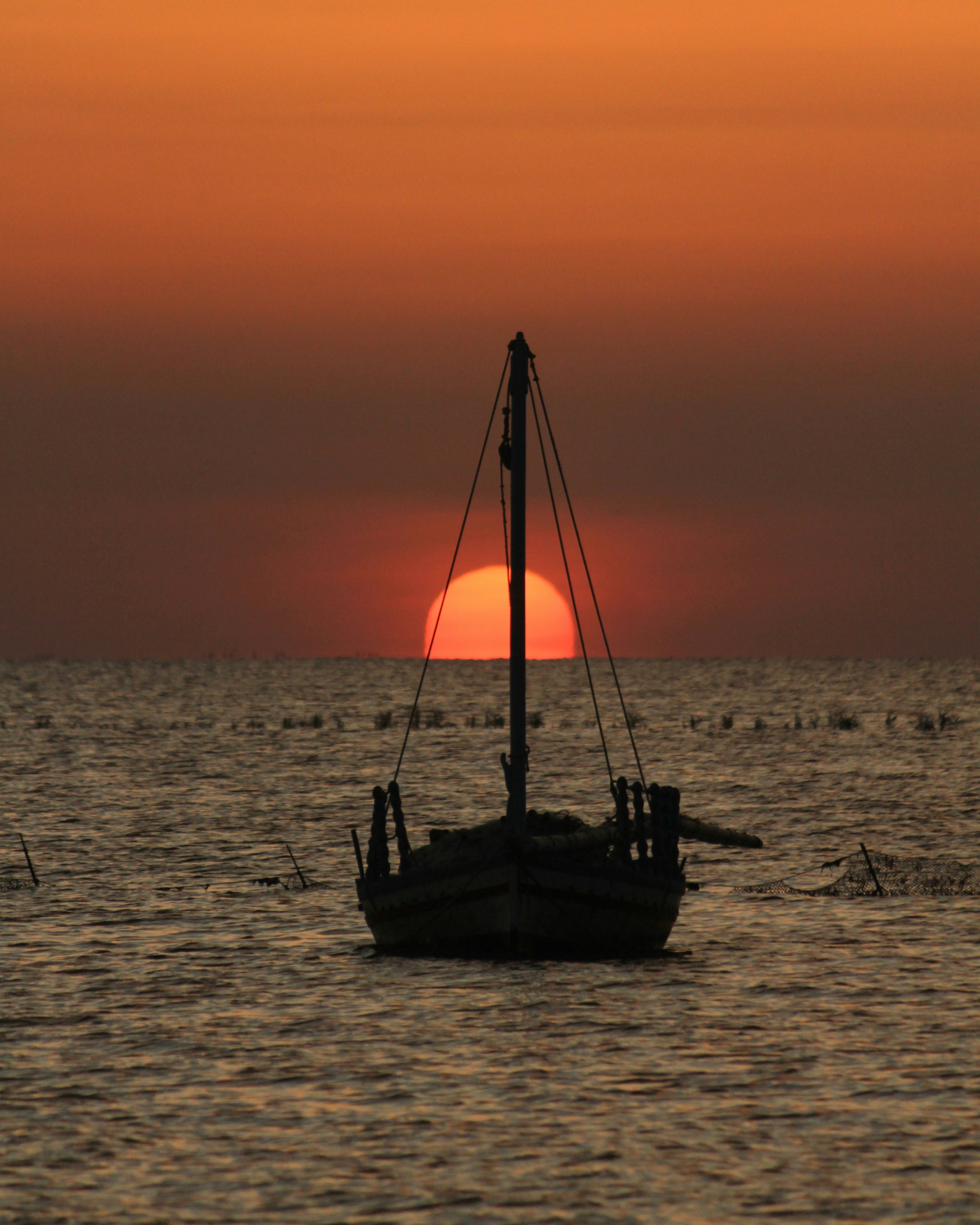 Photo by ghozzia_yacine