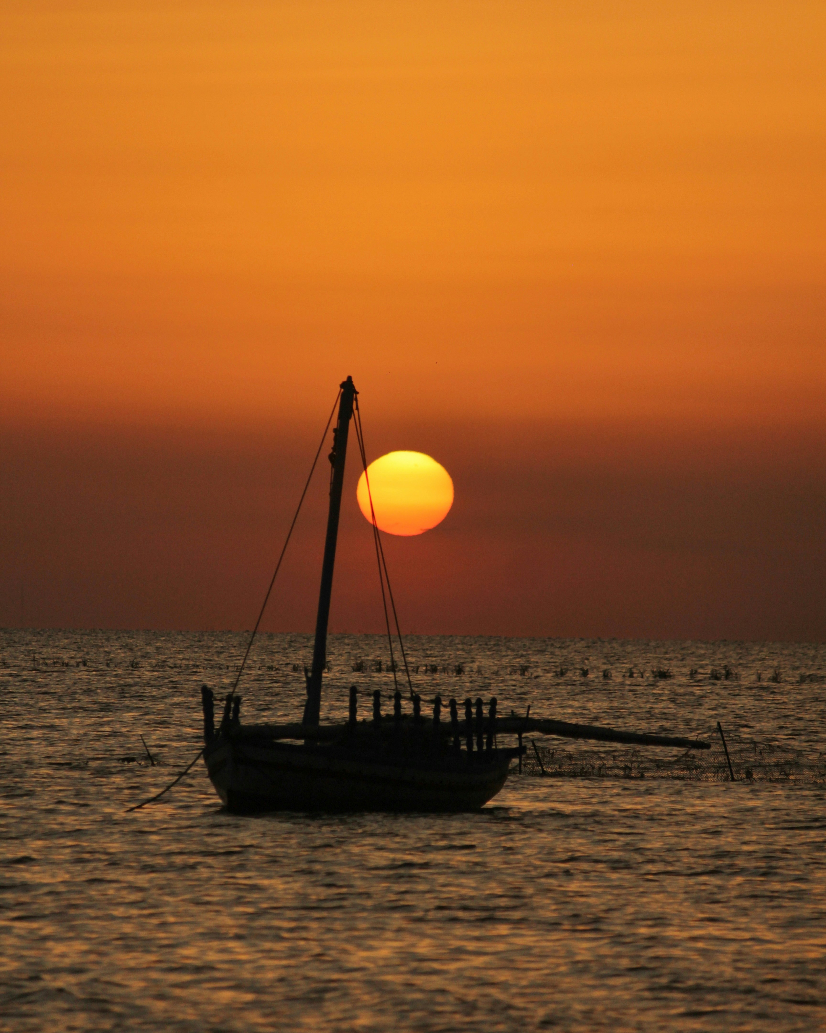 Photo by ghozzia_yacine