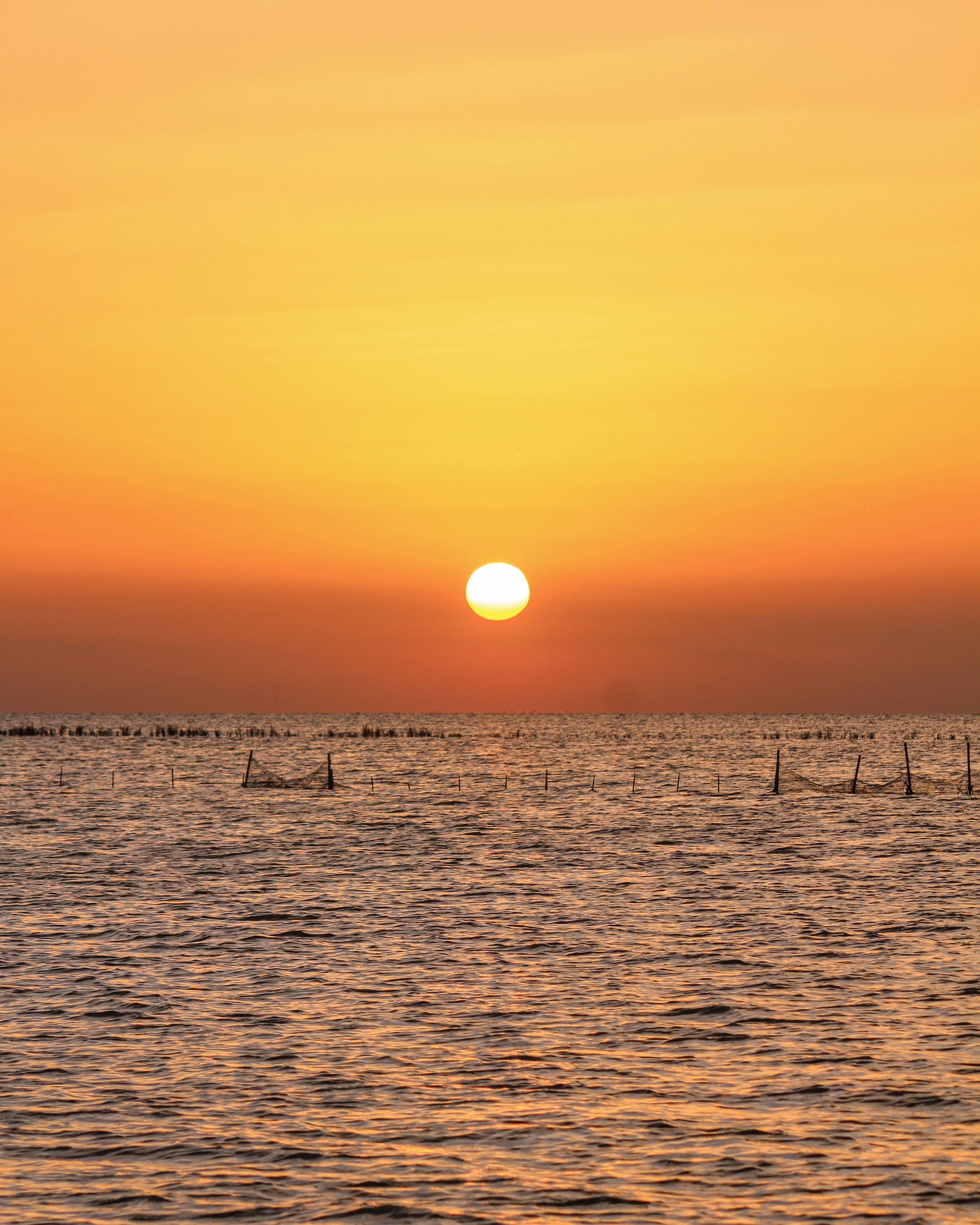 Photo by ghozzia_yacine