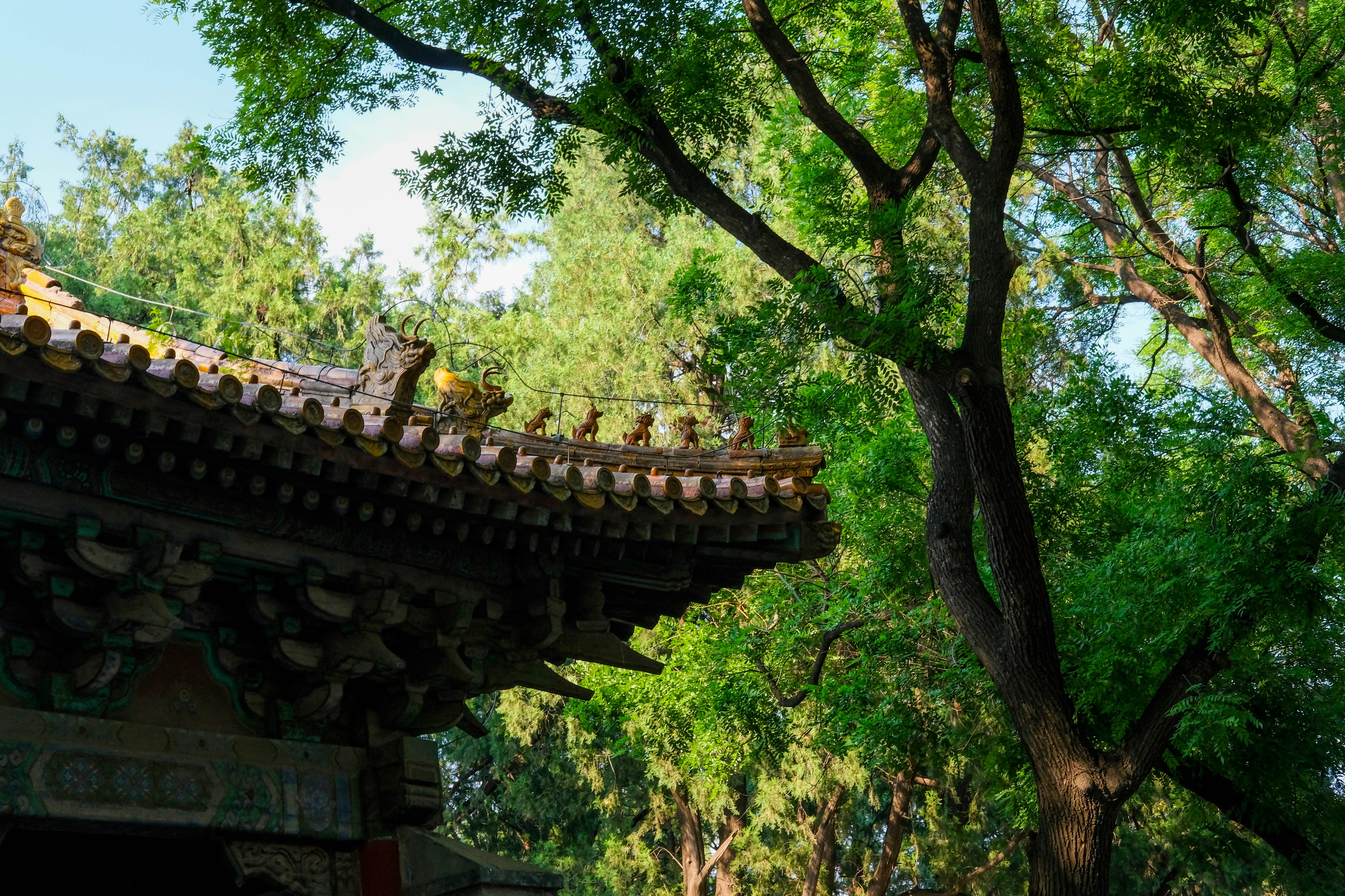 震驚！99%父母都做錯！親子教育的黑暗真相，看完三觀崩毀！