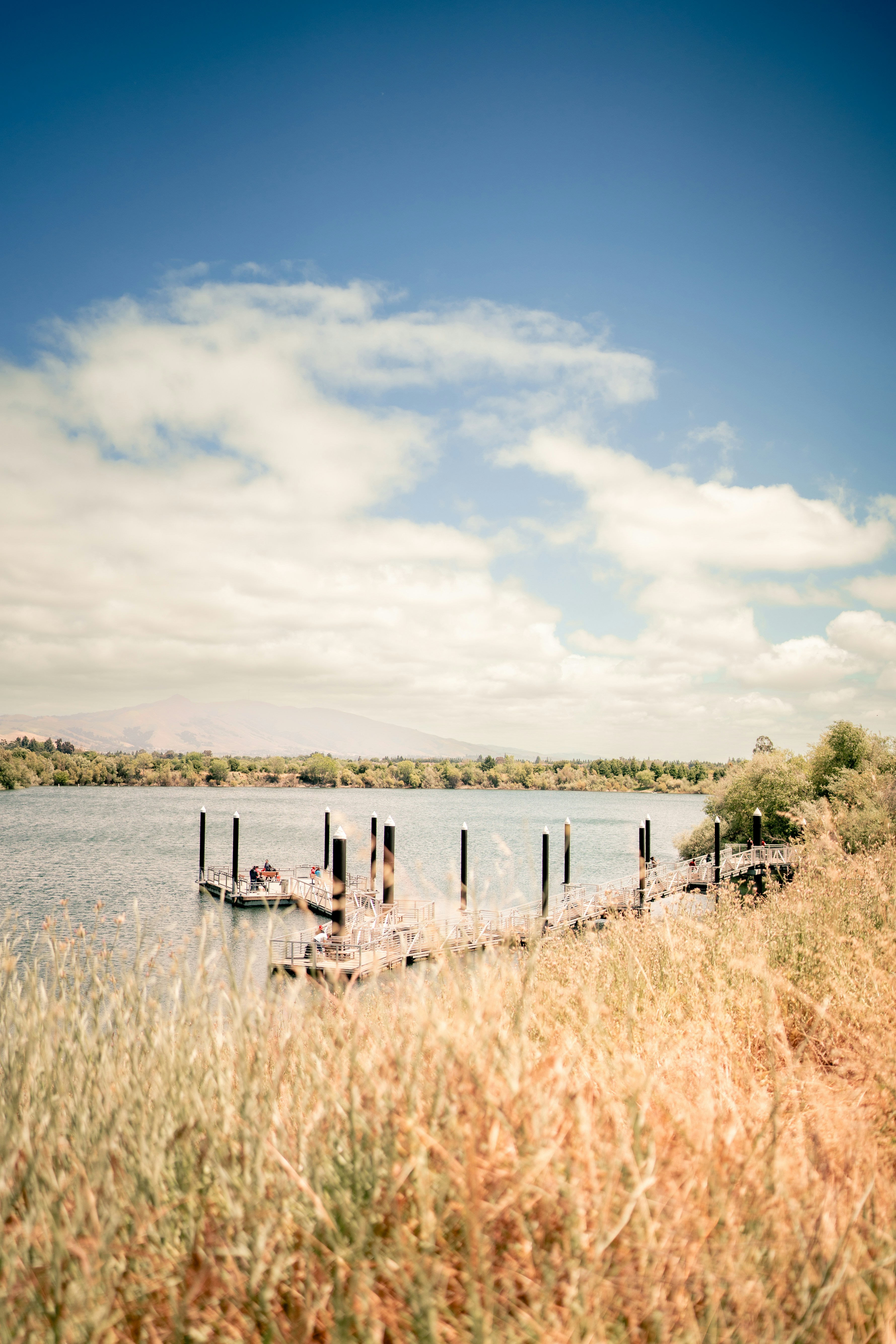 Photo by madeline_sd