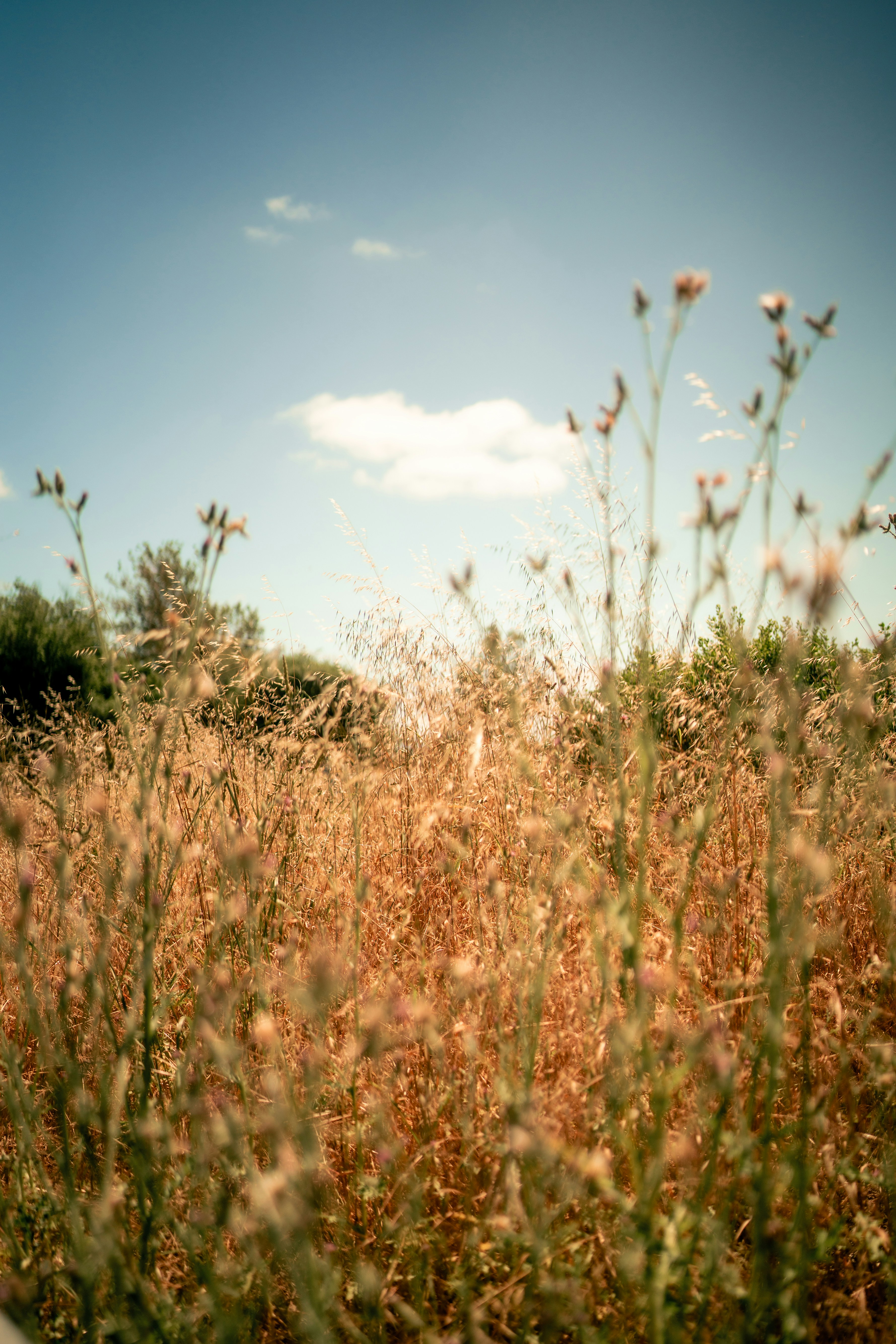 Photo by madeline_sd