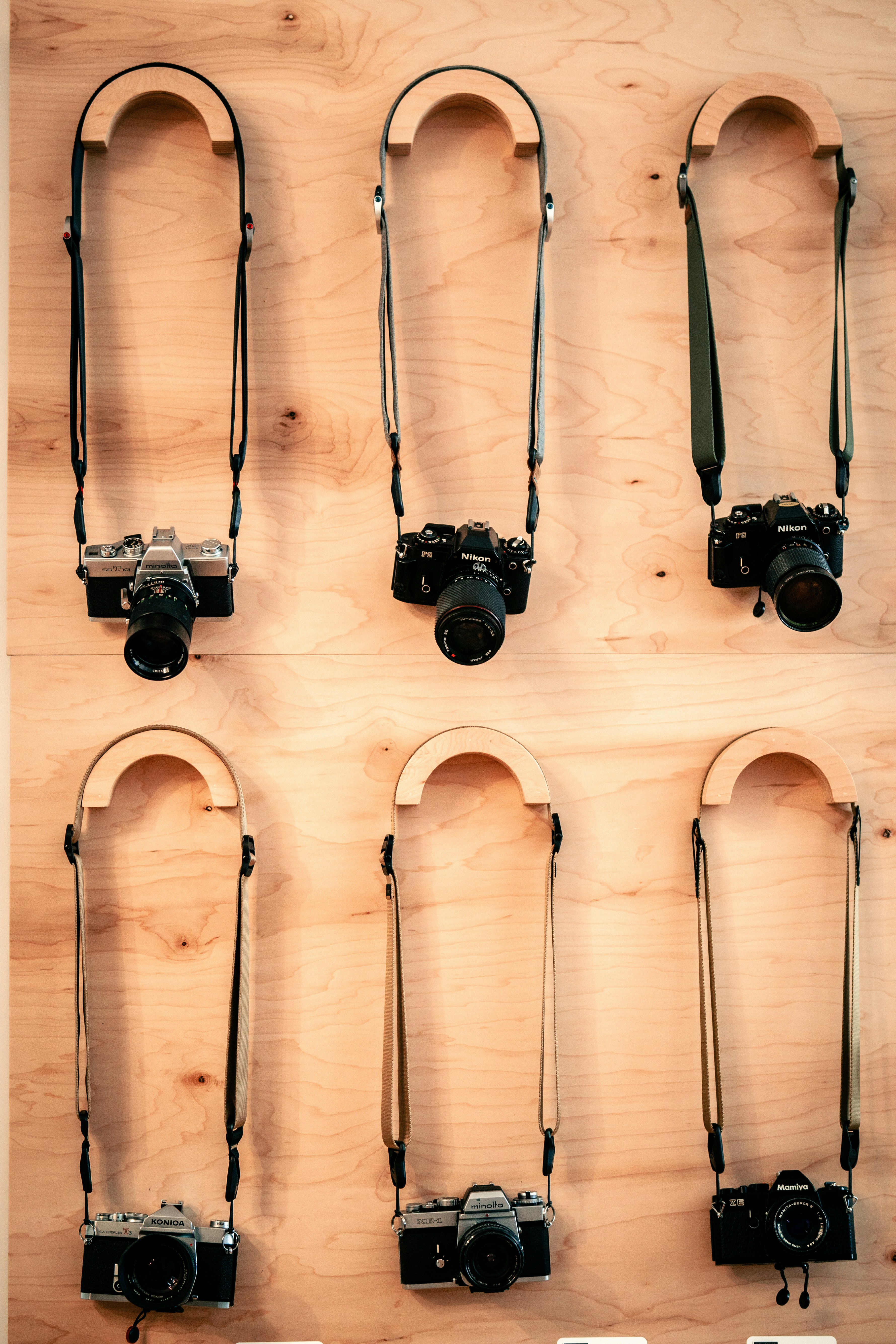 Photo by madeline_sd