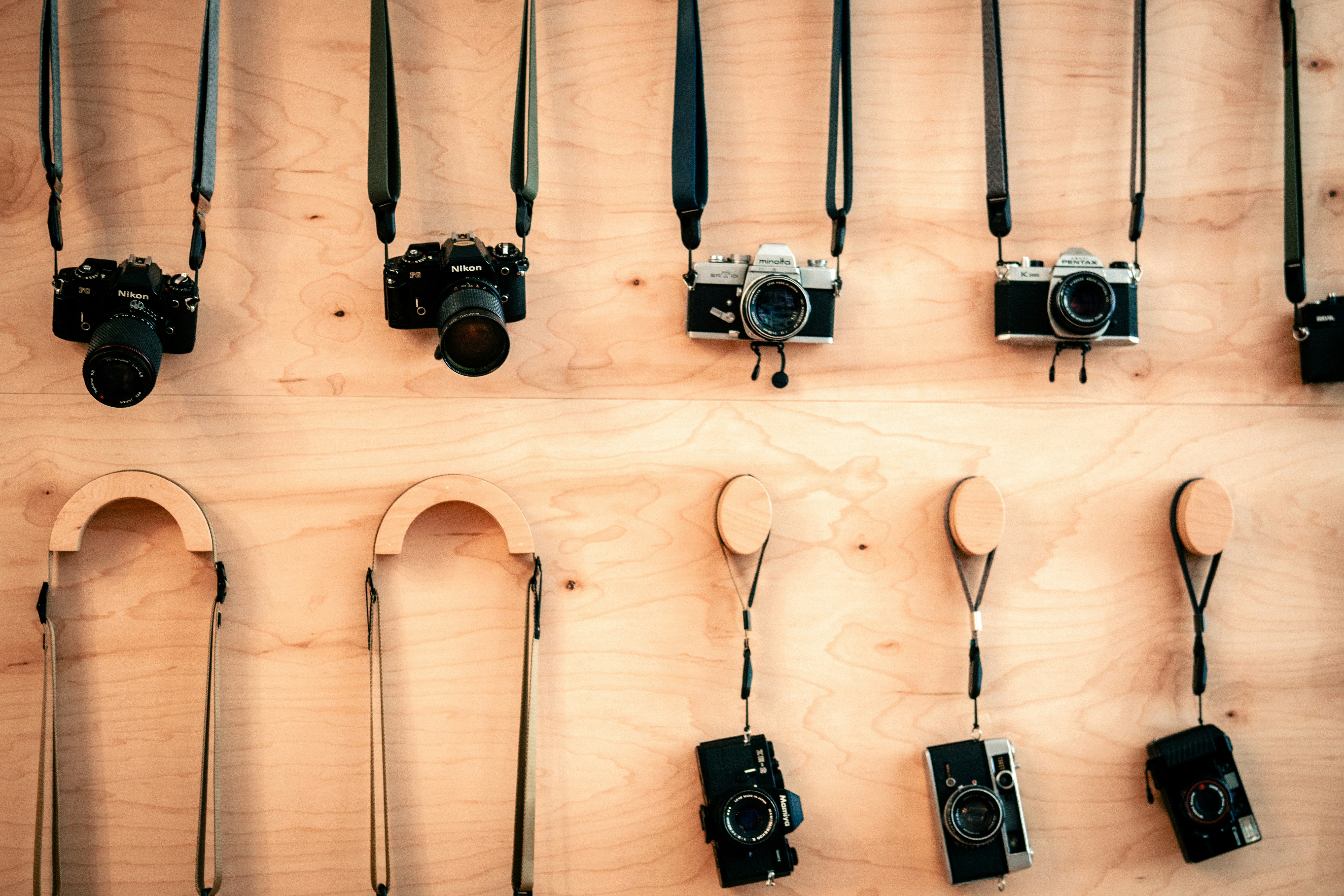 Photo by madeline_sd