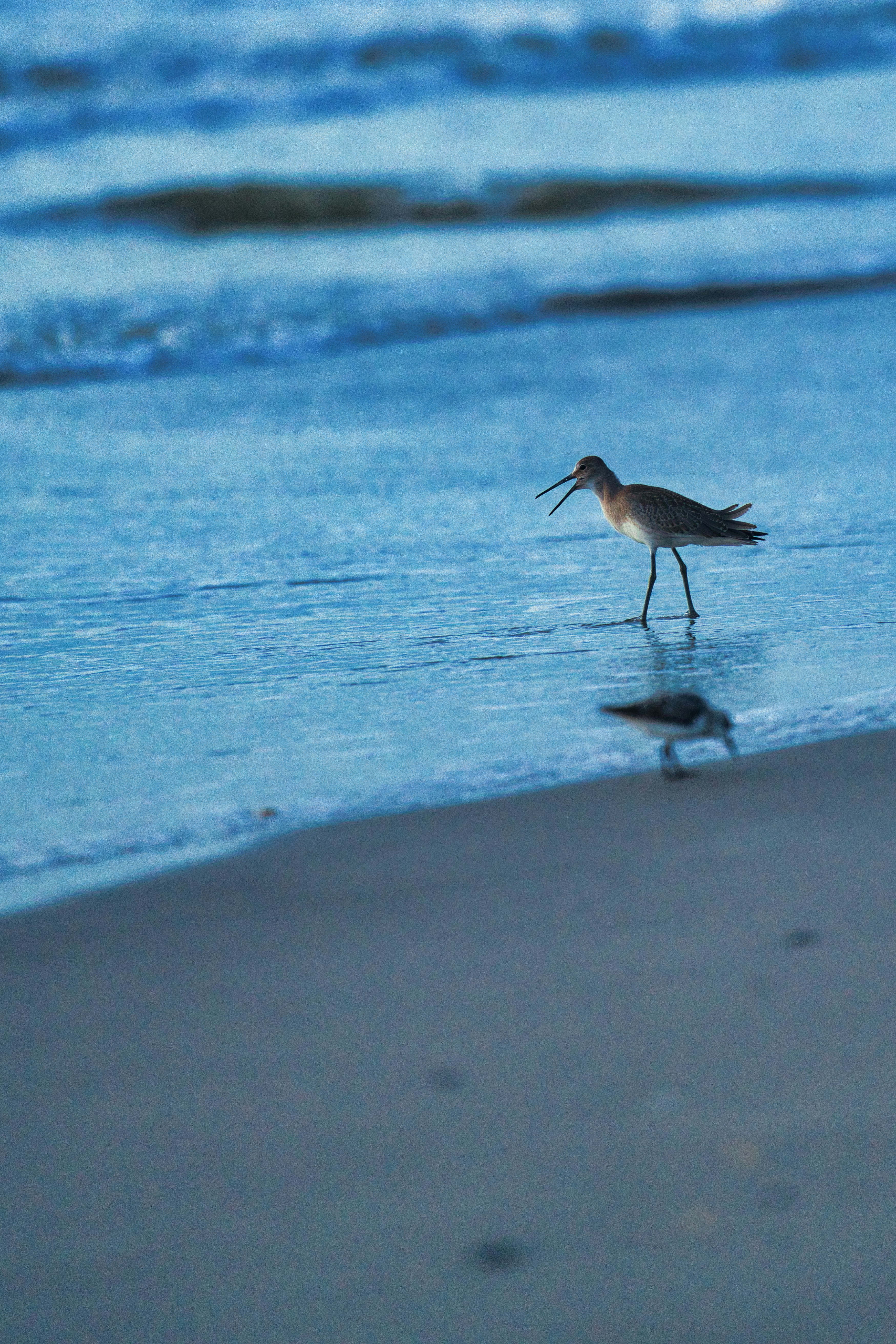 Photo by oculareuphoria