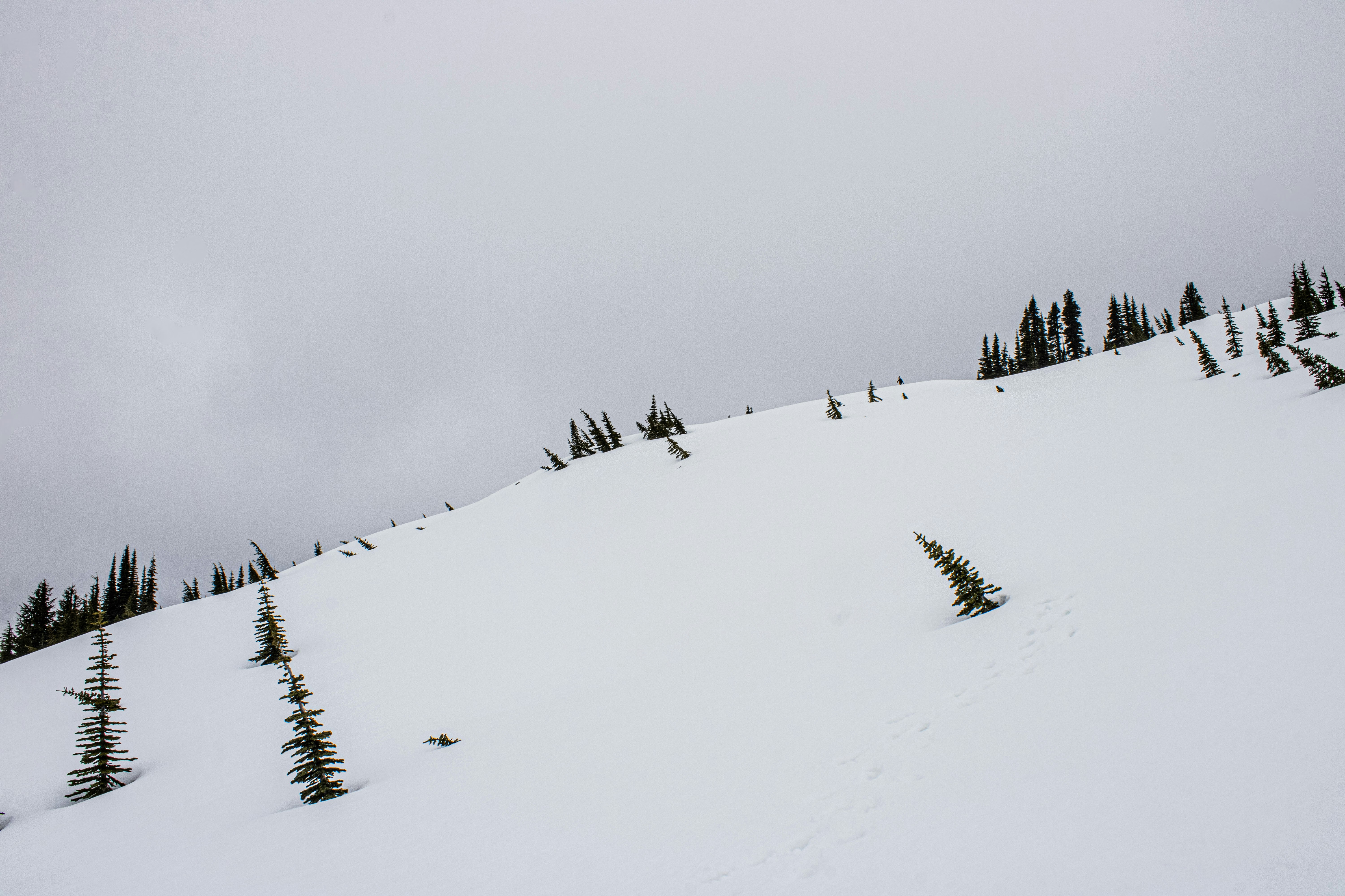 Photo by prphotography262