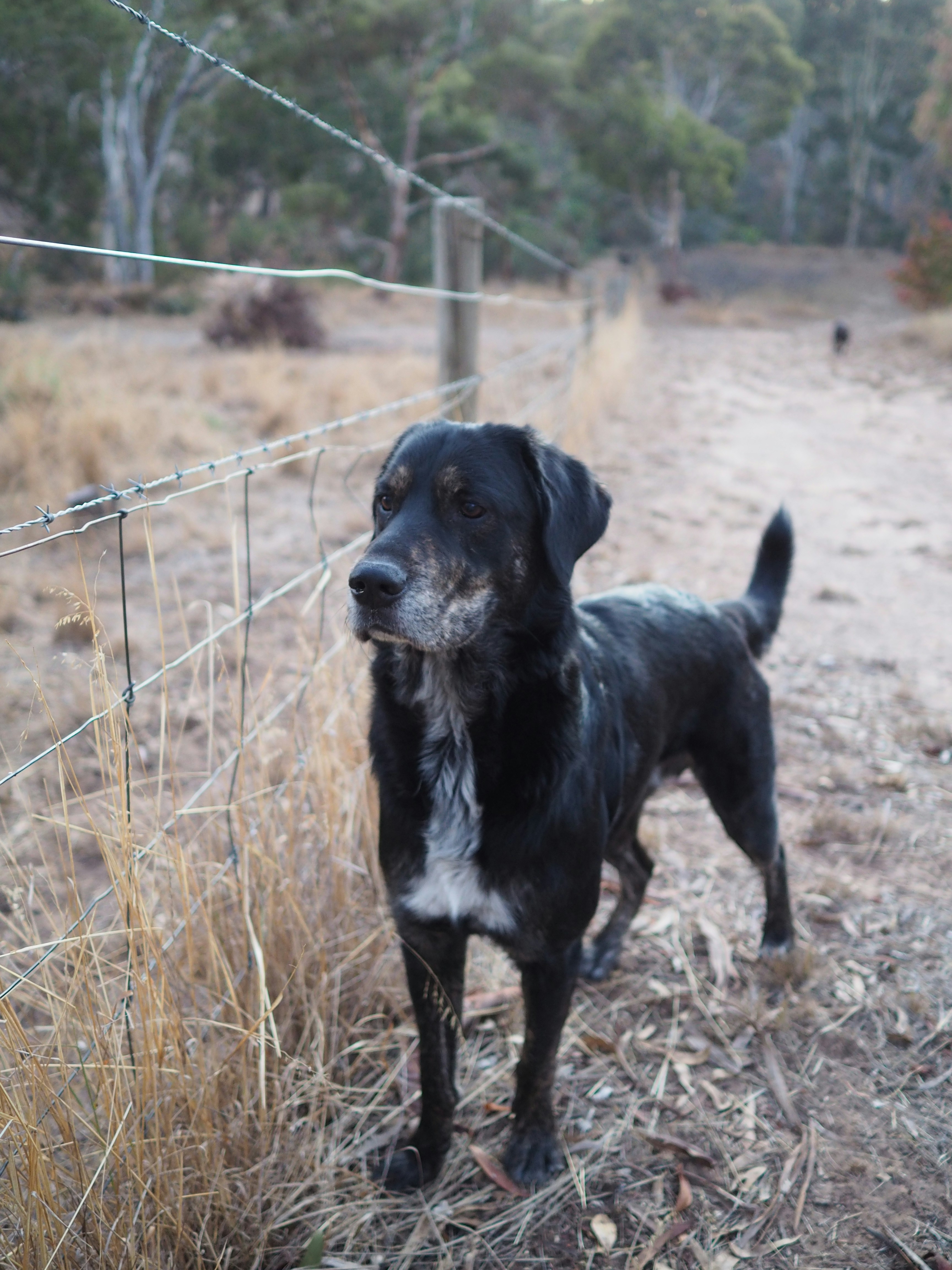 Photo by stephenjmilton