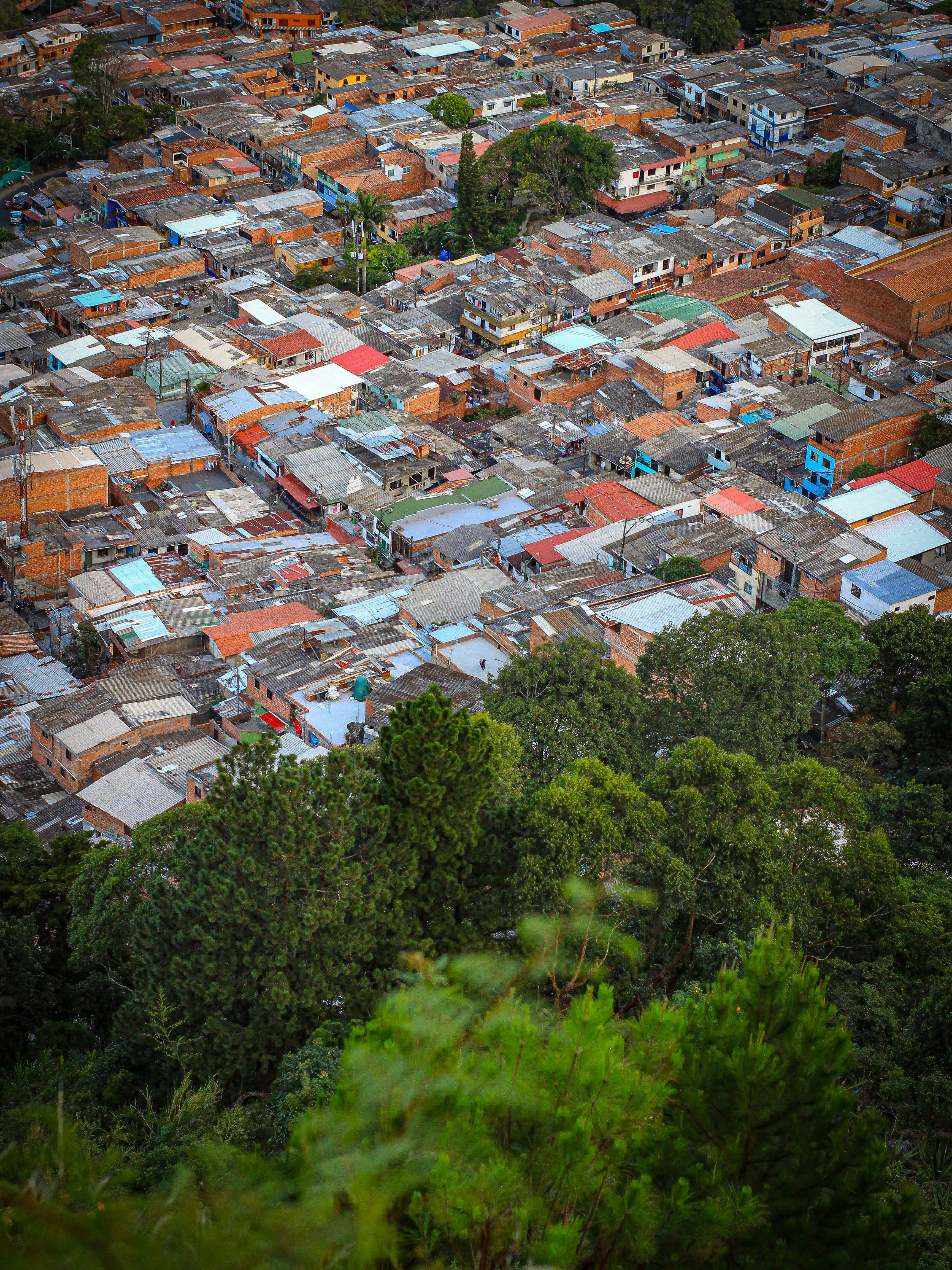 Photo by calleyselva