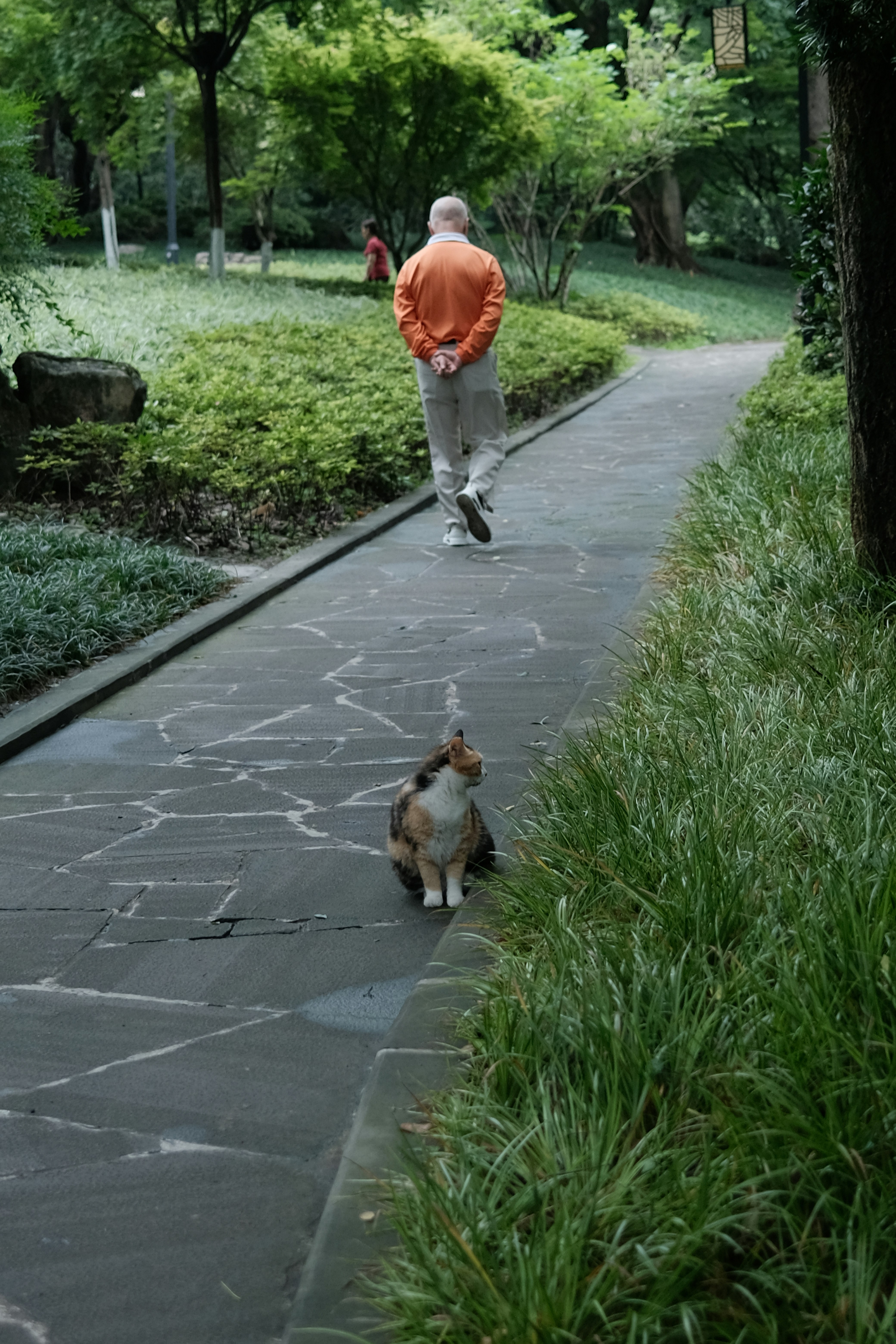 10 Daily Rabbit Care Nutrition Routines That Support Weight Control