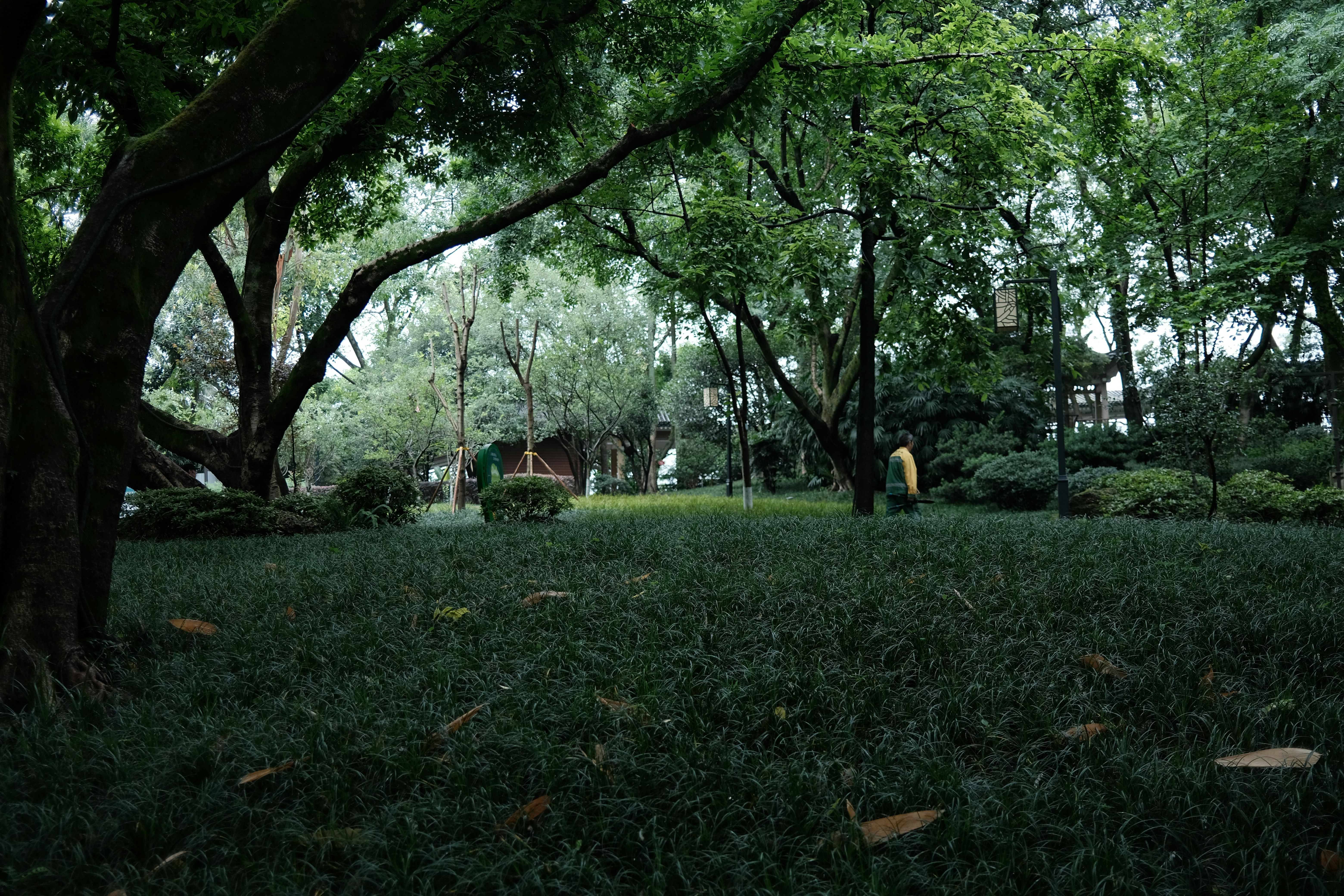 Wah Weng Garden Menu