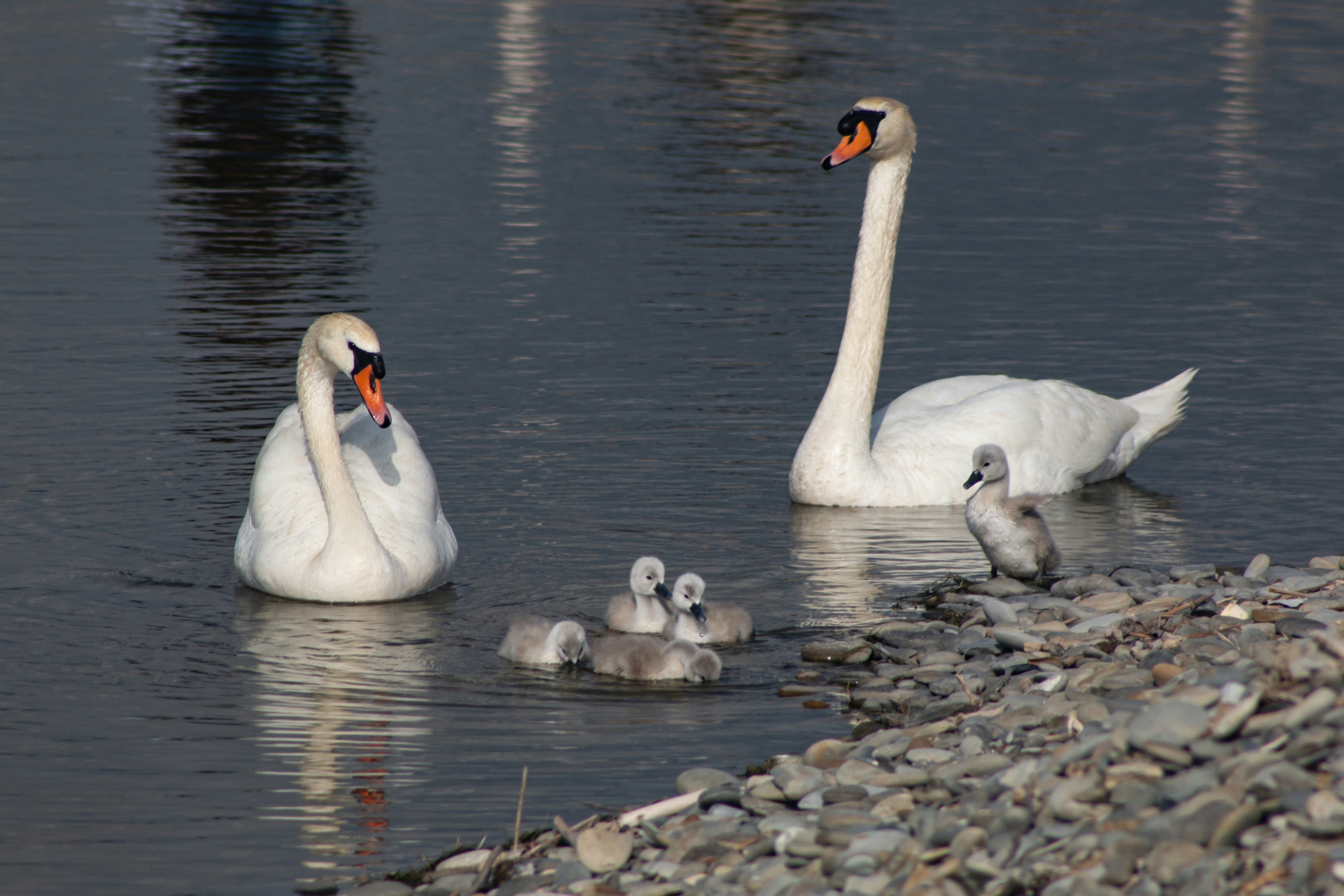 Photo by stepan_konev