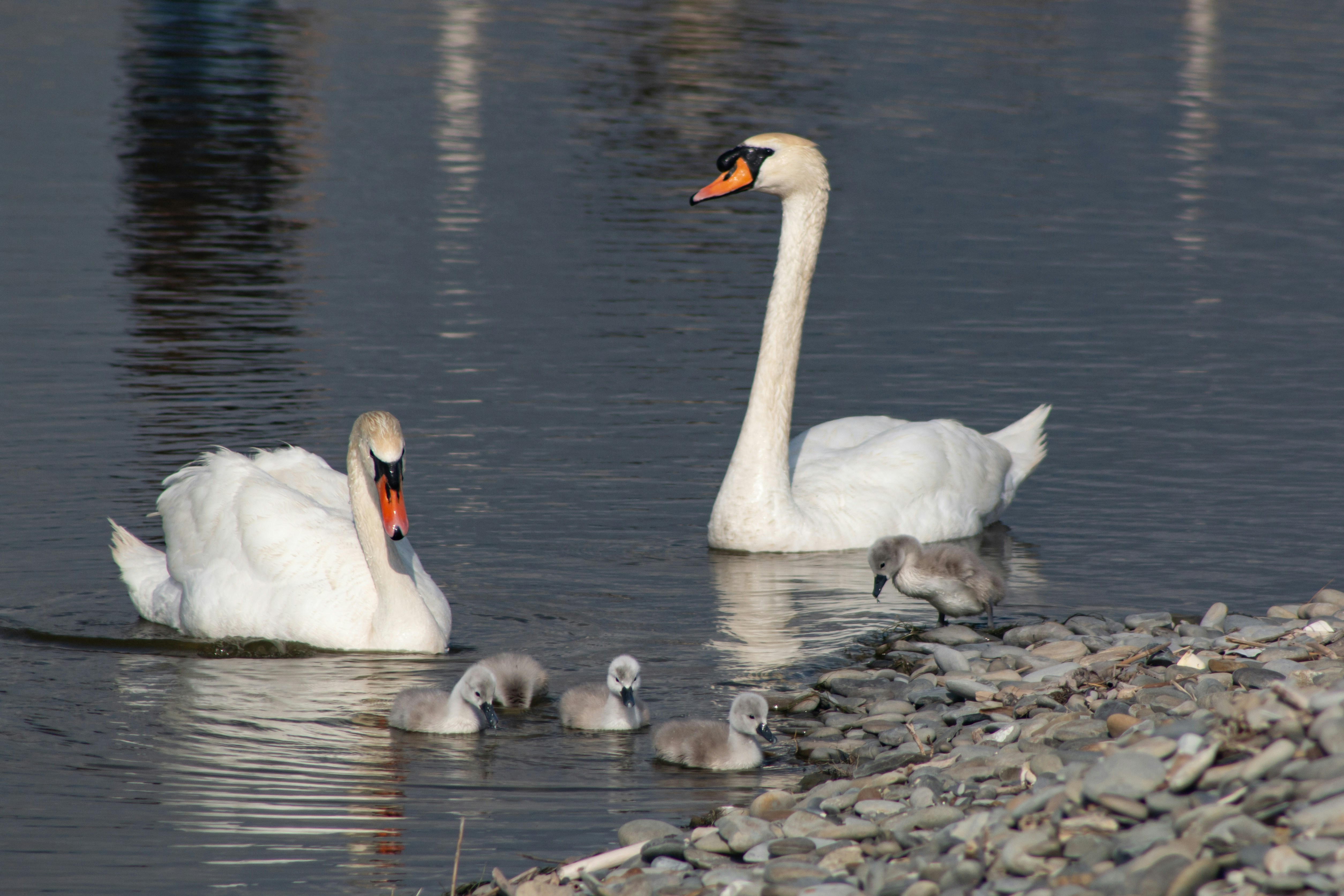 Photo by stepan_konev