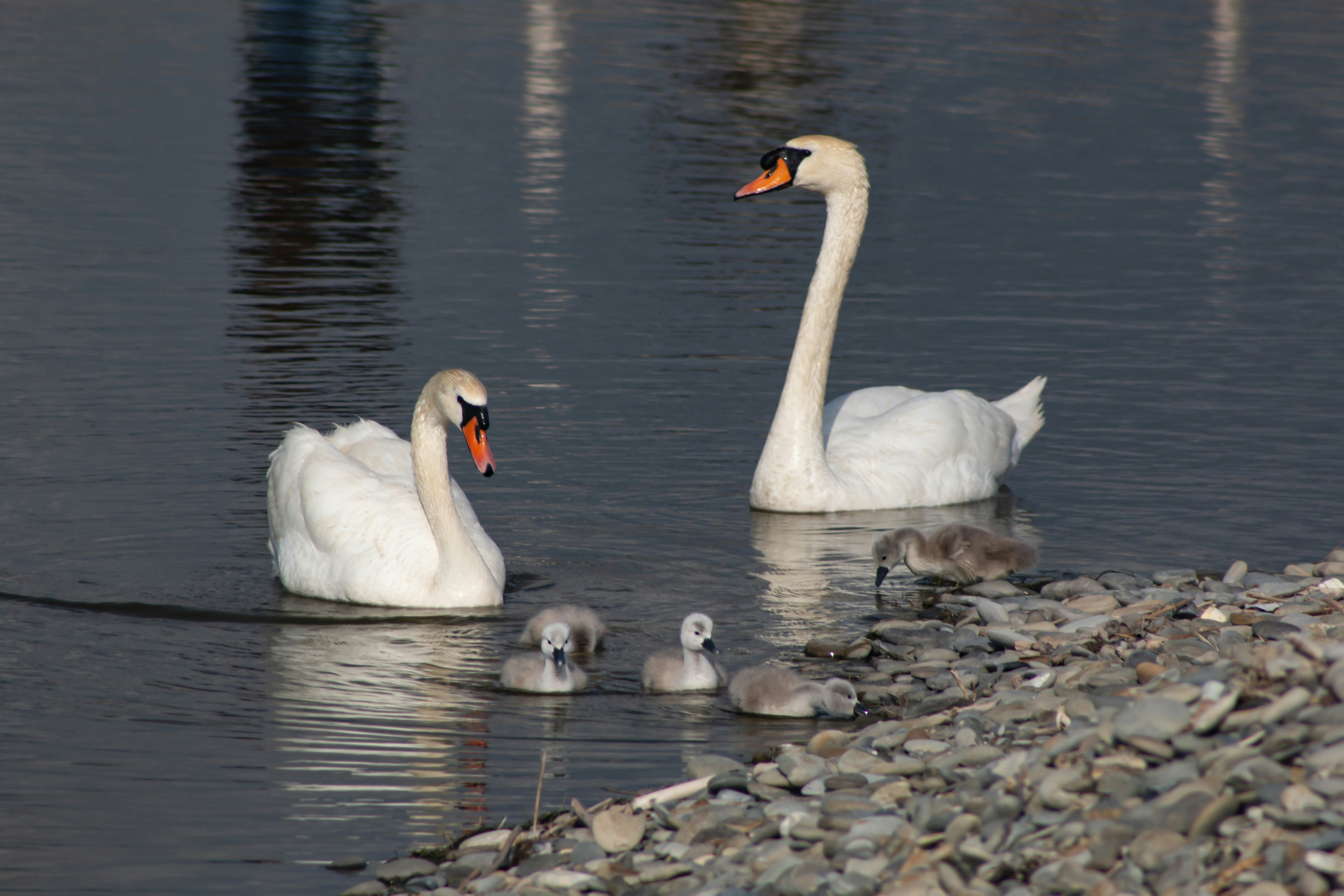 Photo by stepan_konev