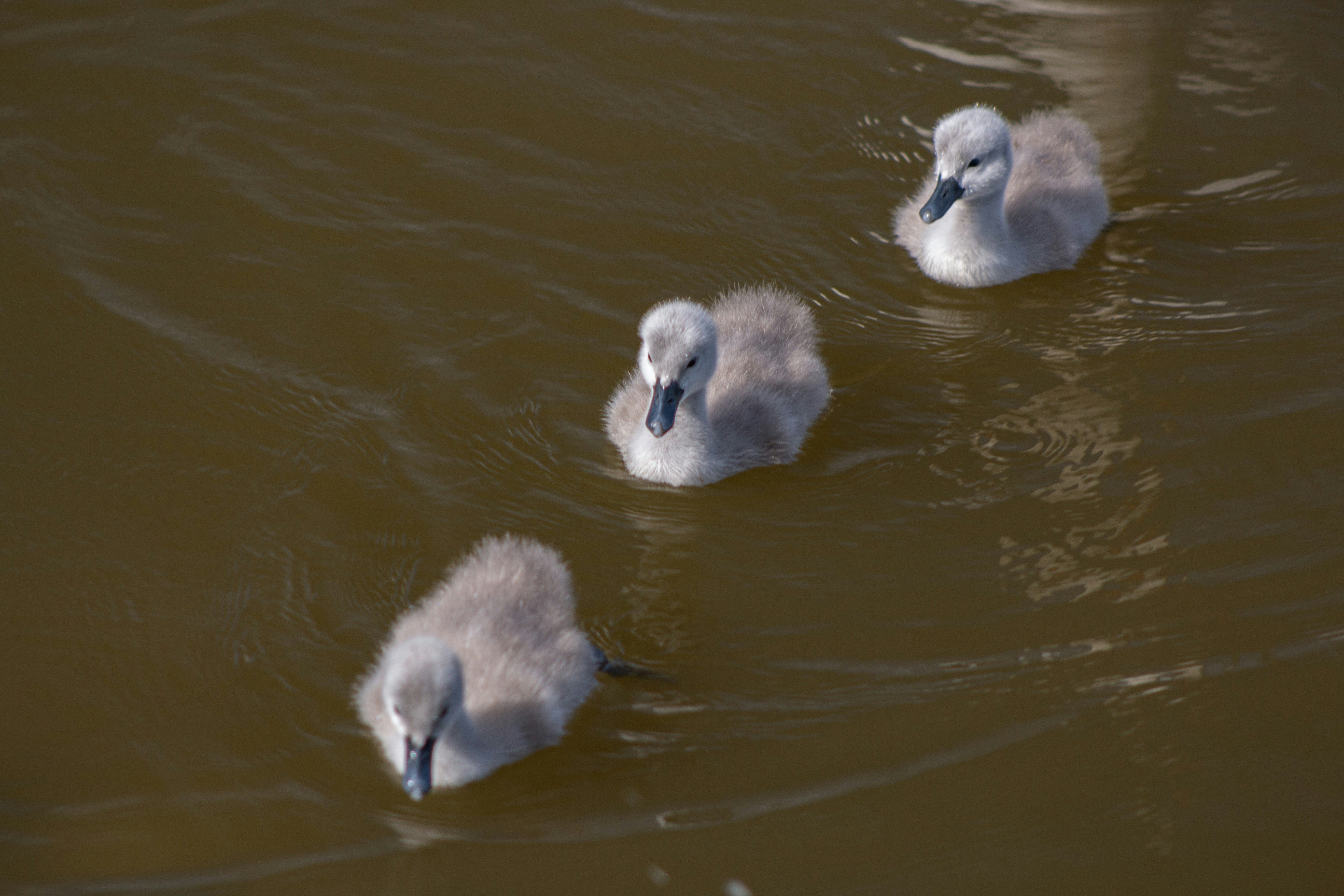 Photo by stepan_konev