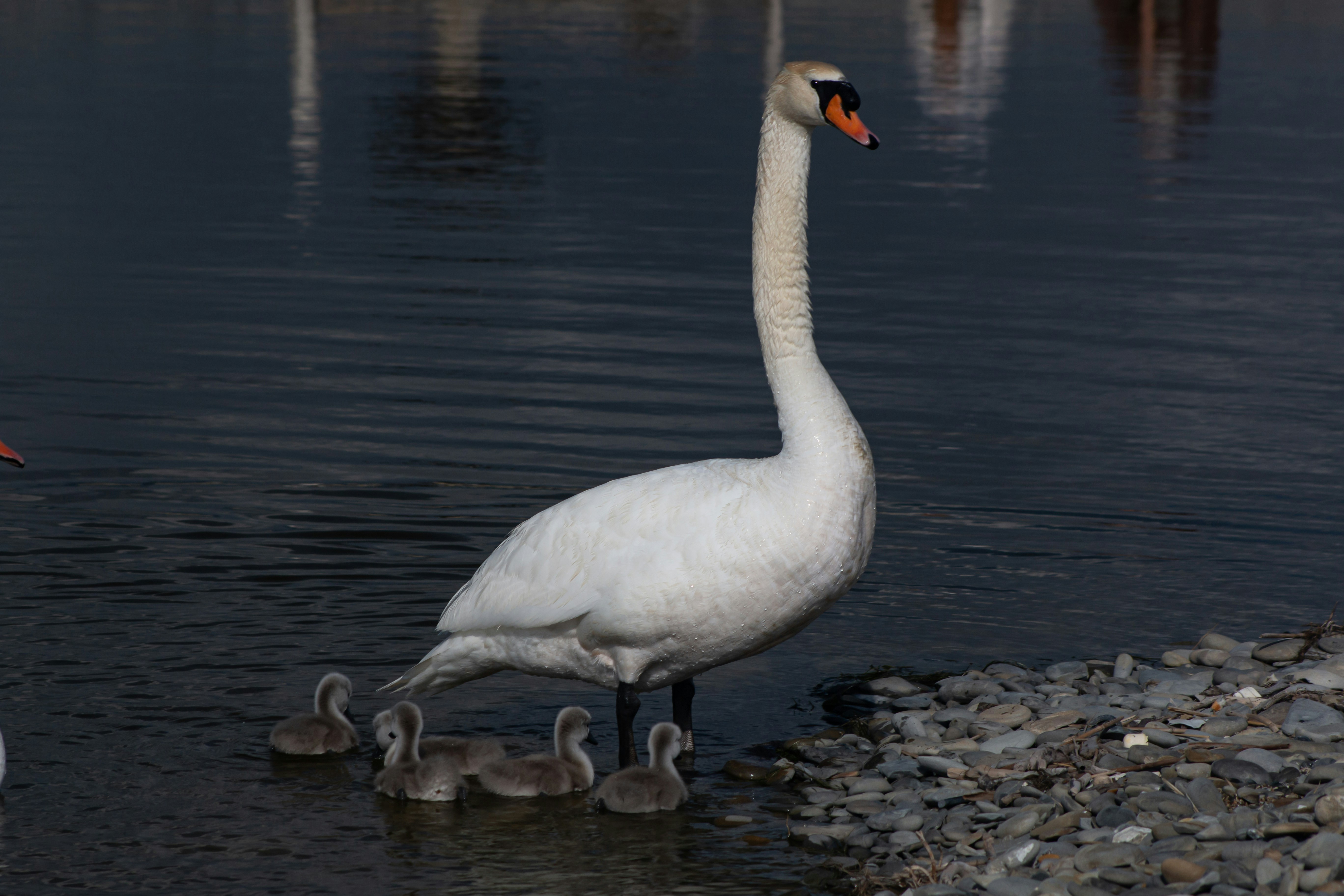 Photo by stepan_konev