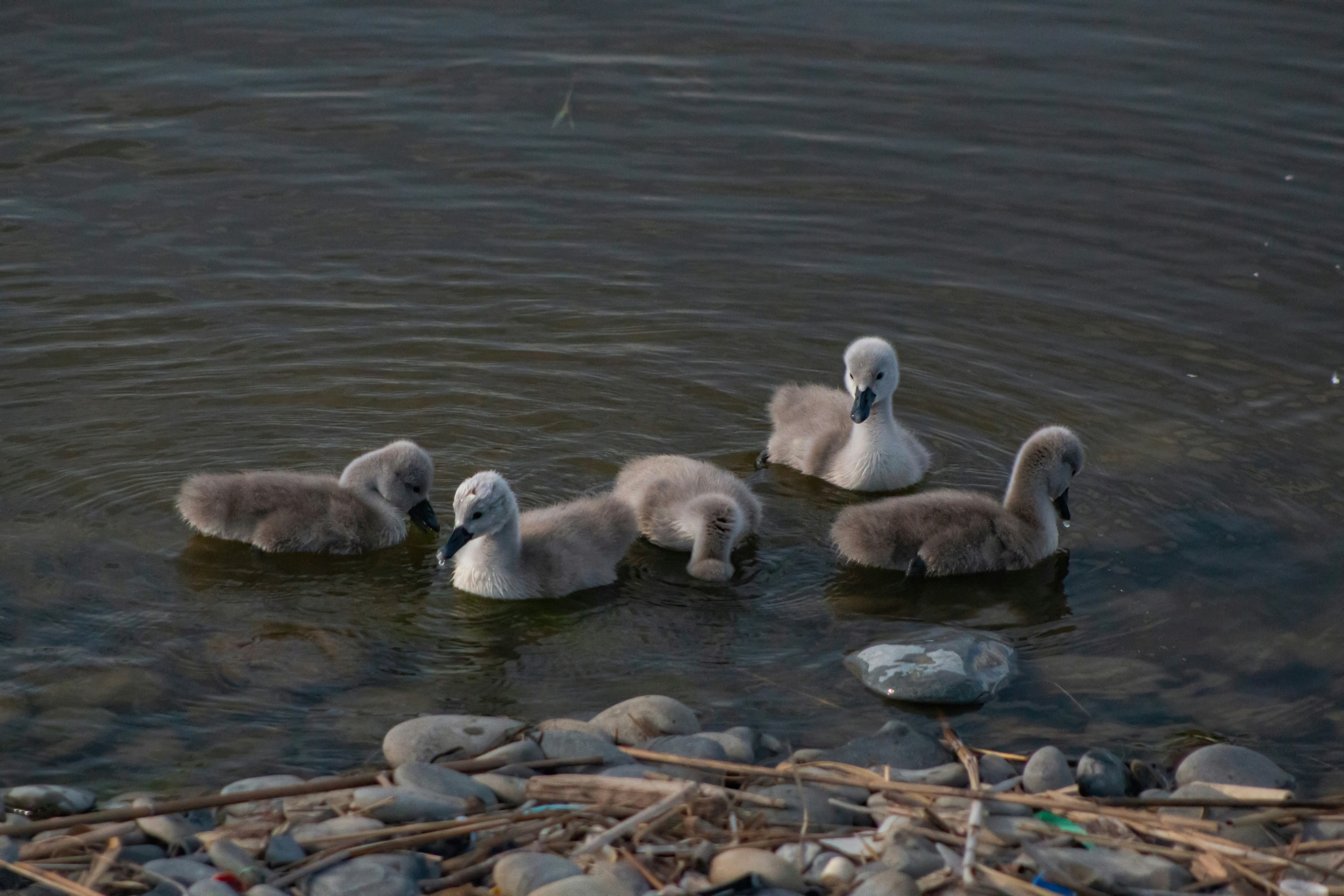 Photo by stepan_konev