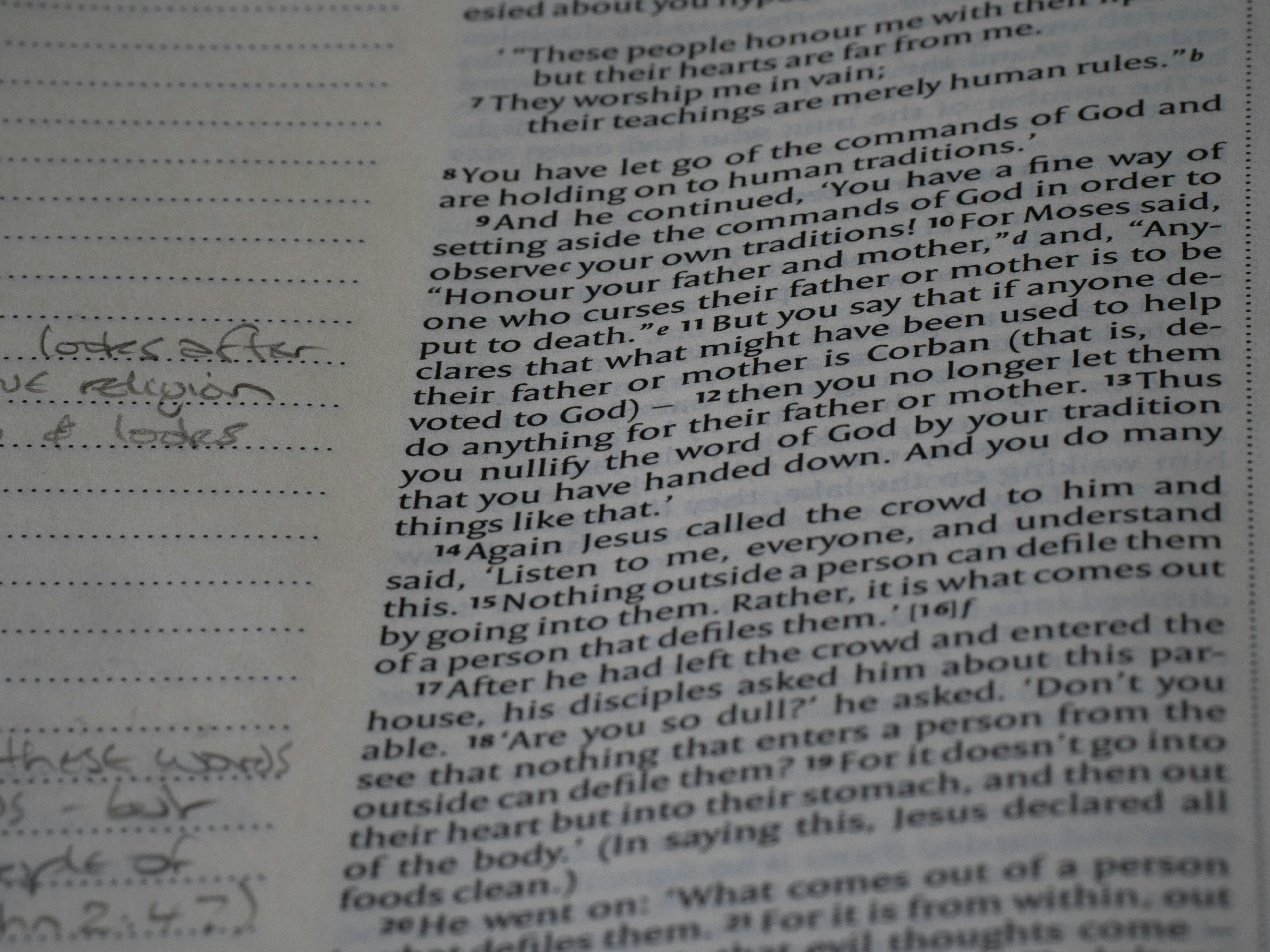 Photo by brett_jordan