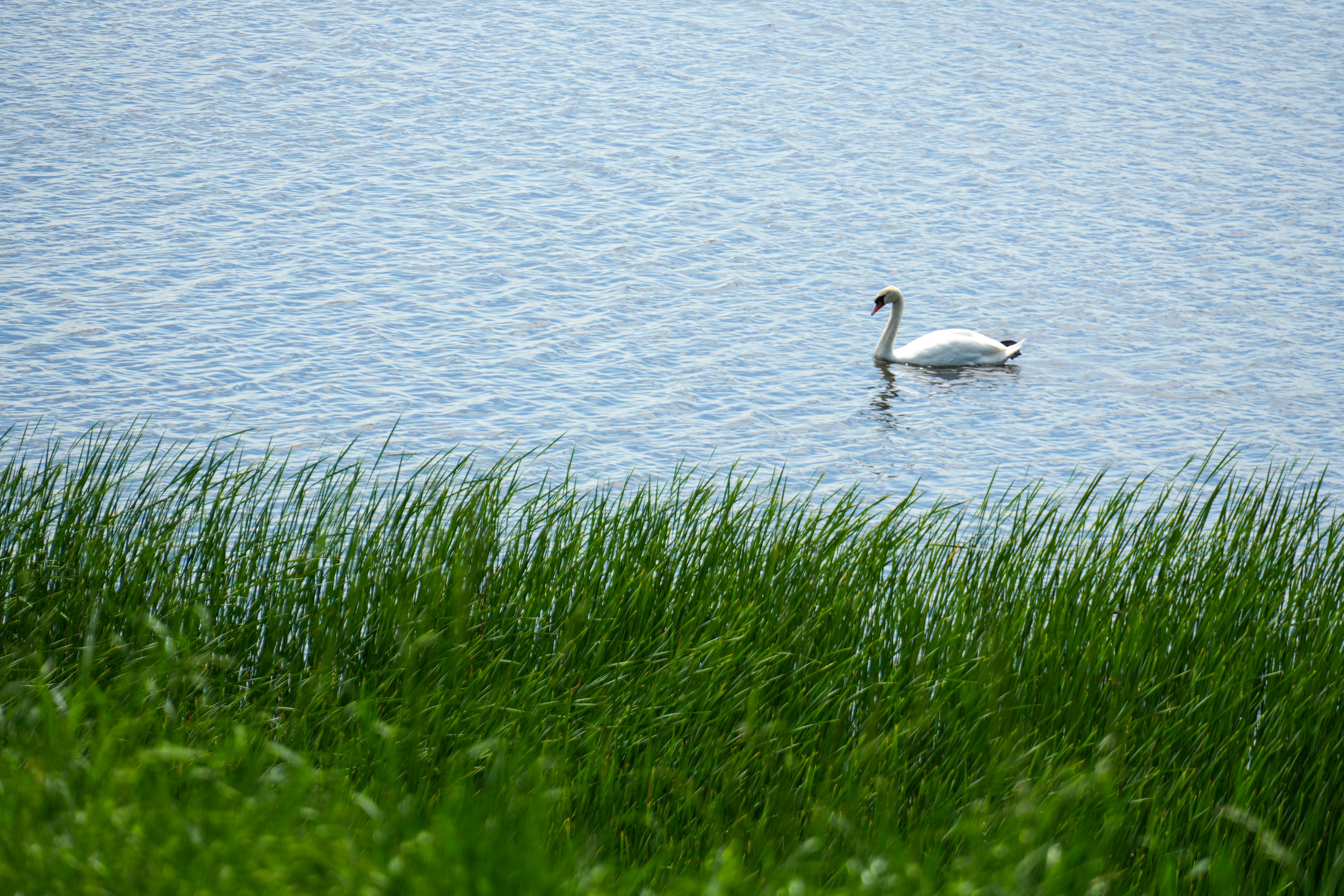Photo by xtoman