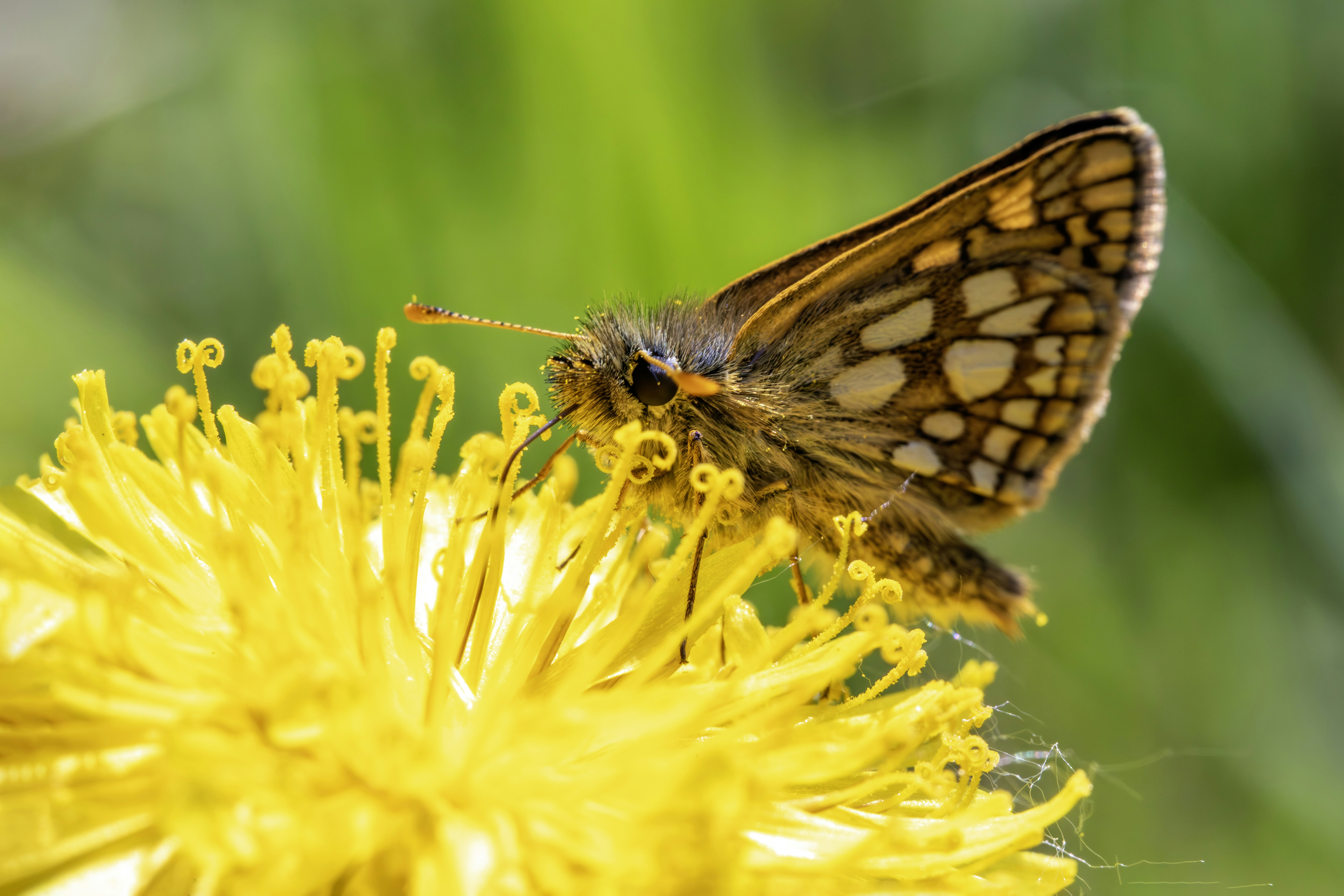 Photo by erik_karits