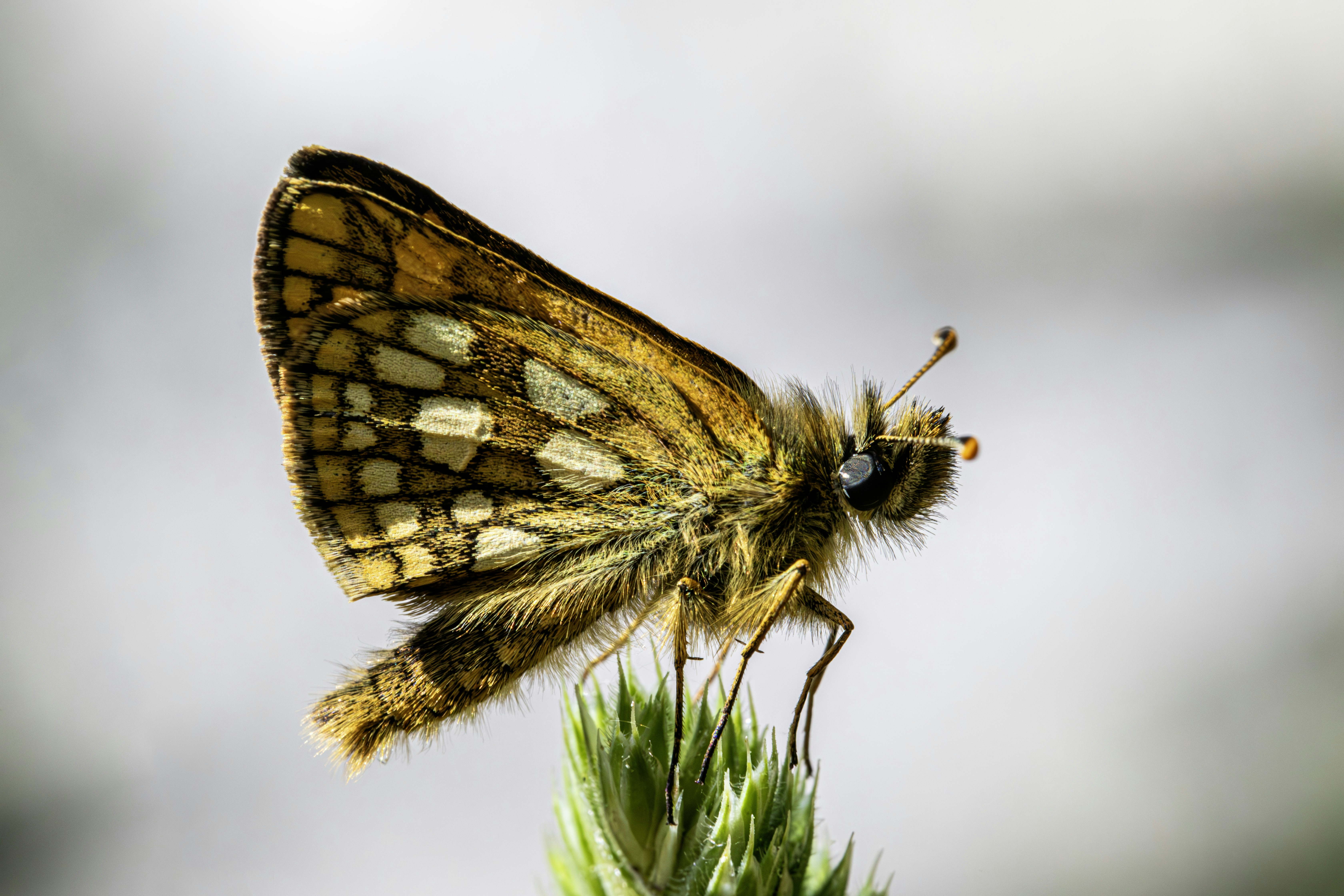 Photo by erik_karits