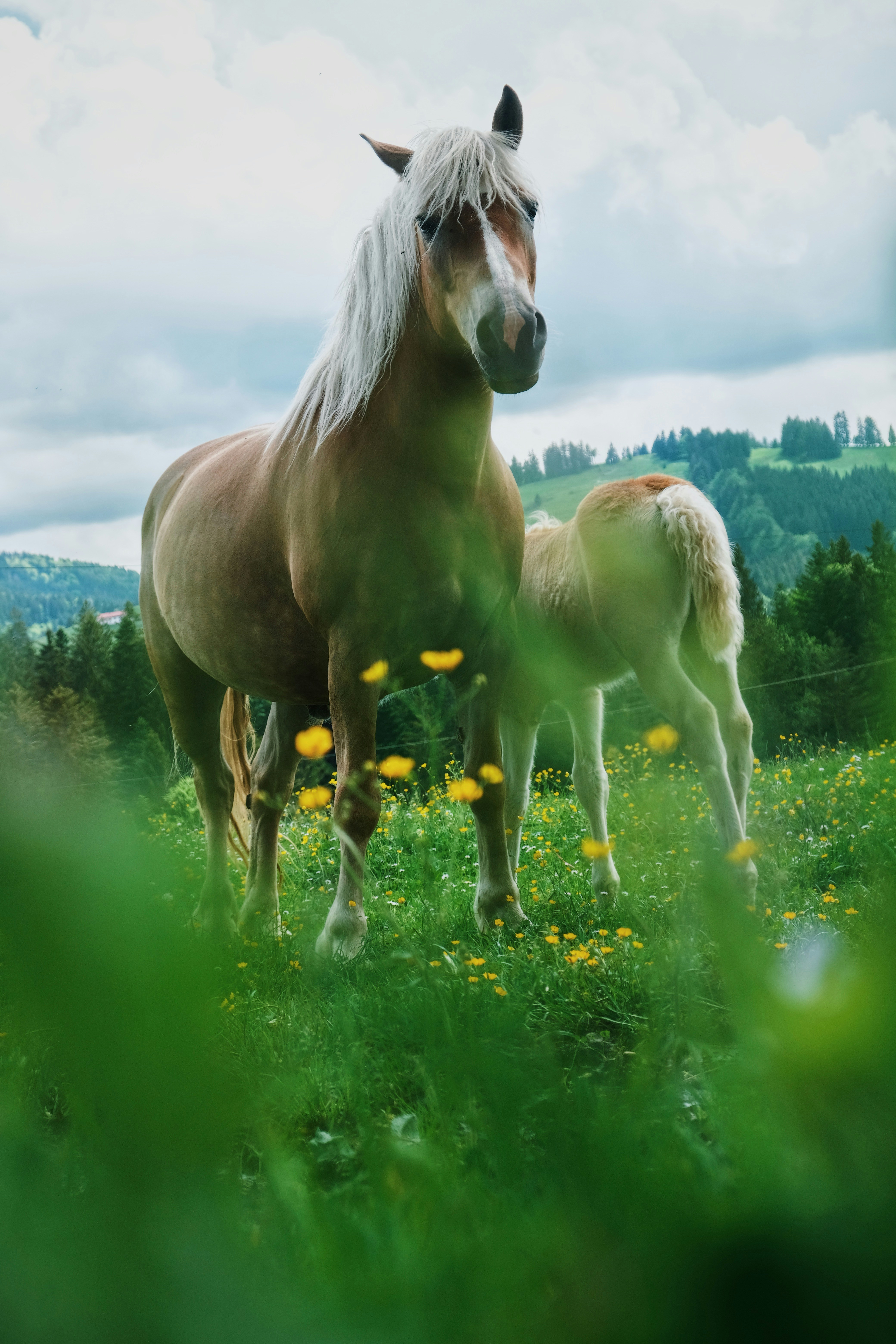 Photo by janikpresser