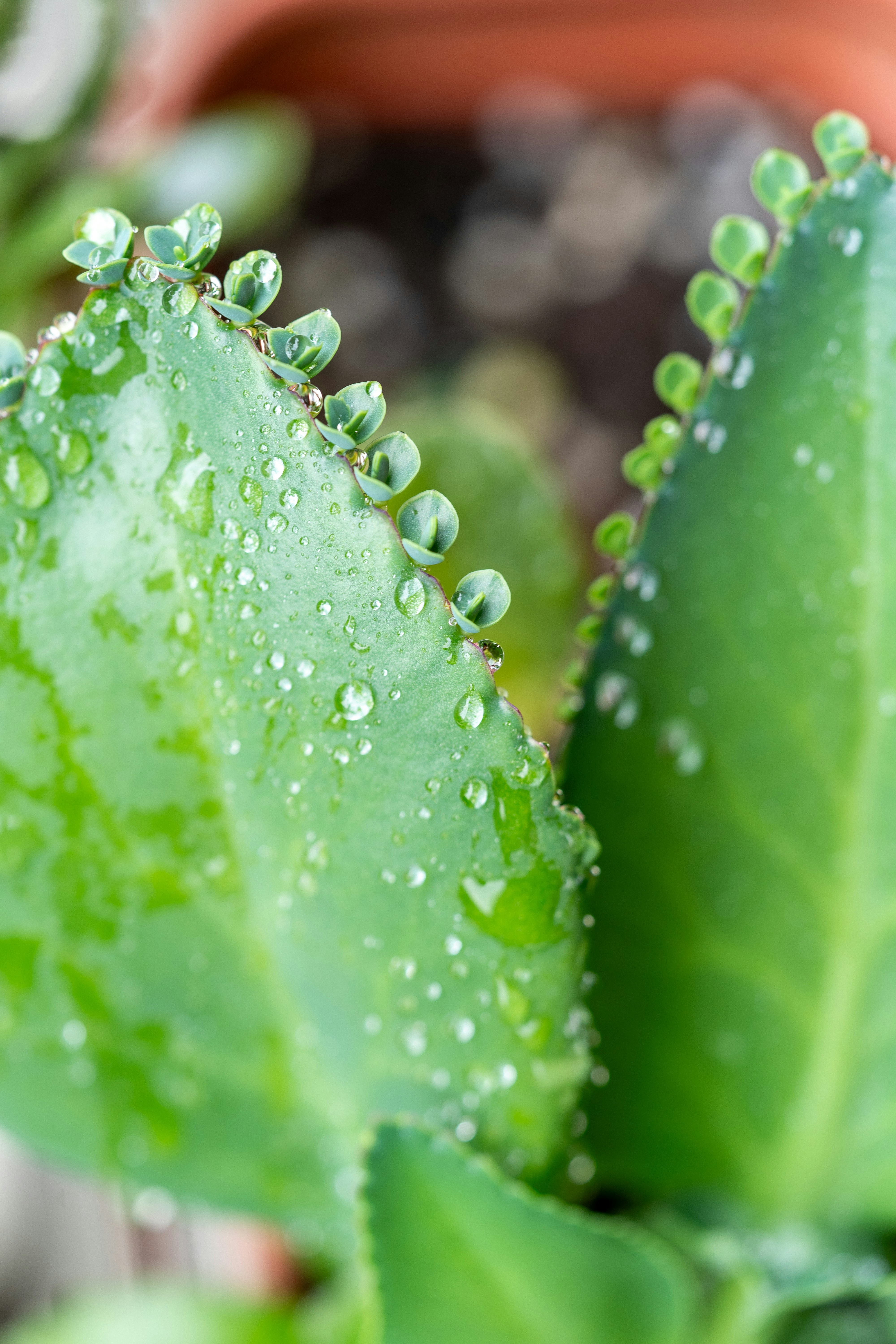 Photo by winstonchen