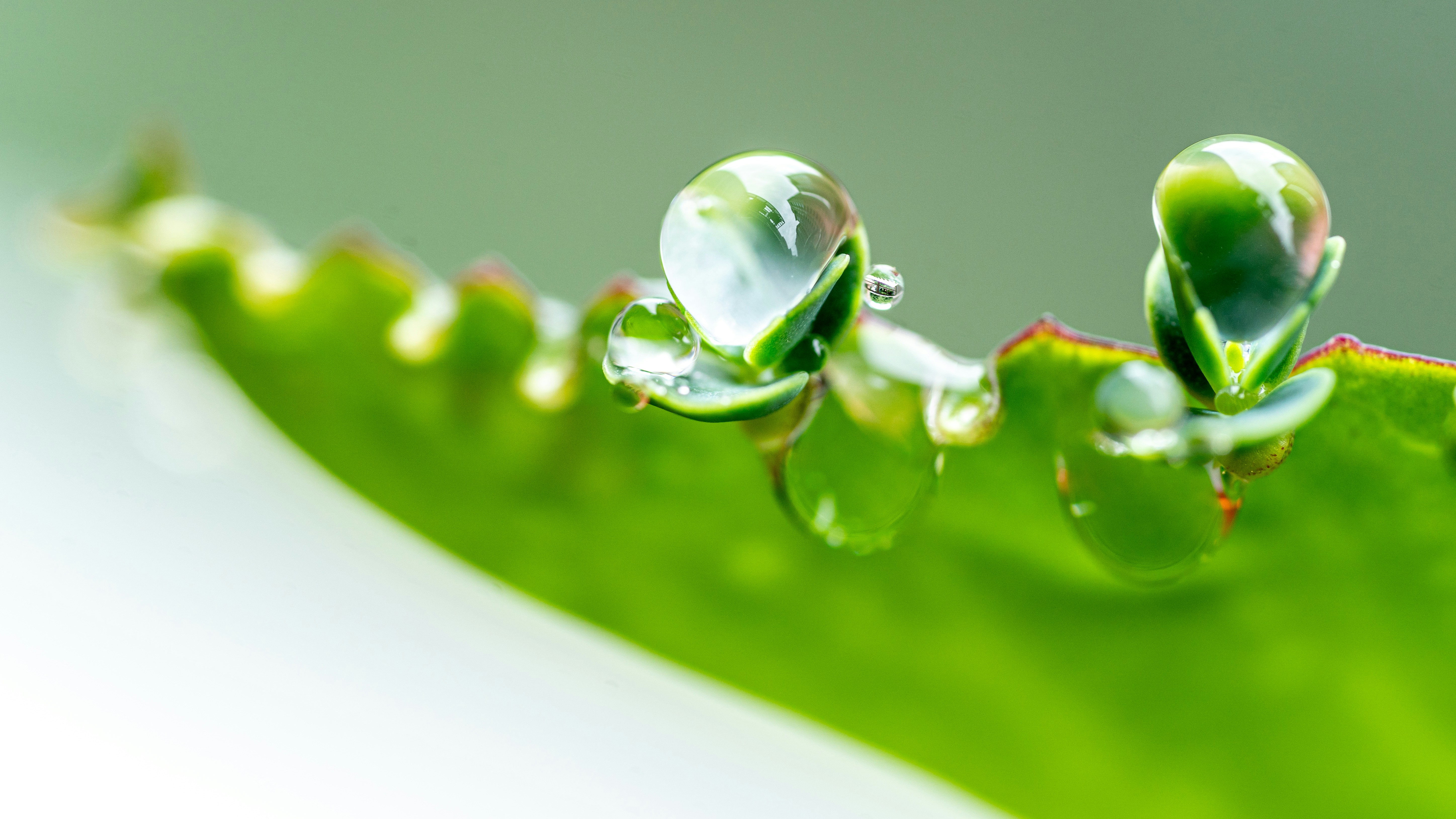 Photo by winstonchen