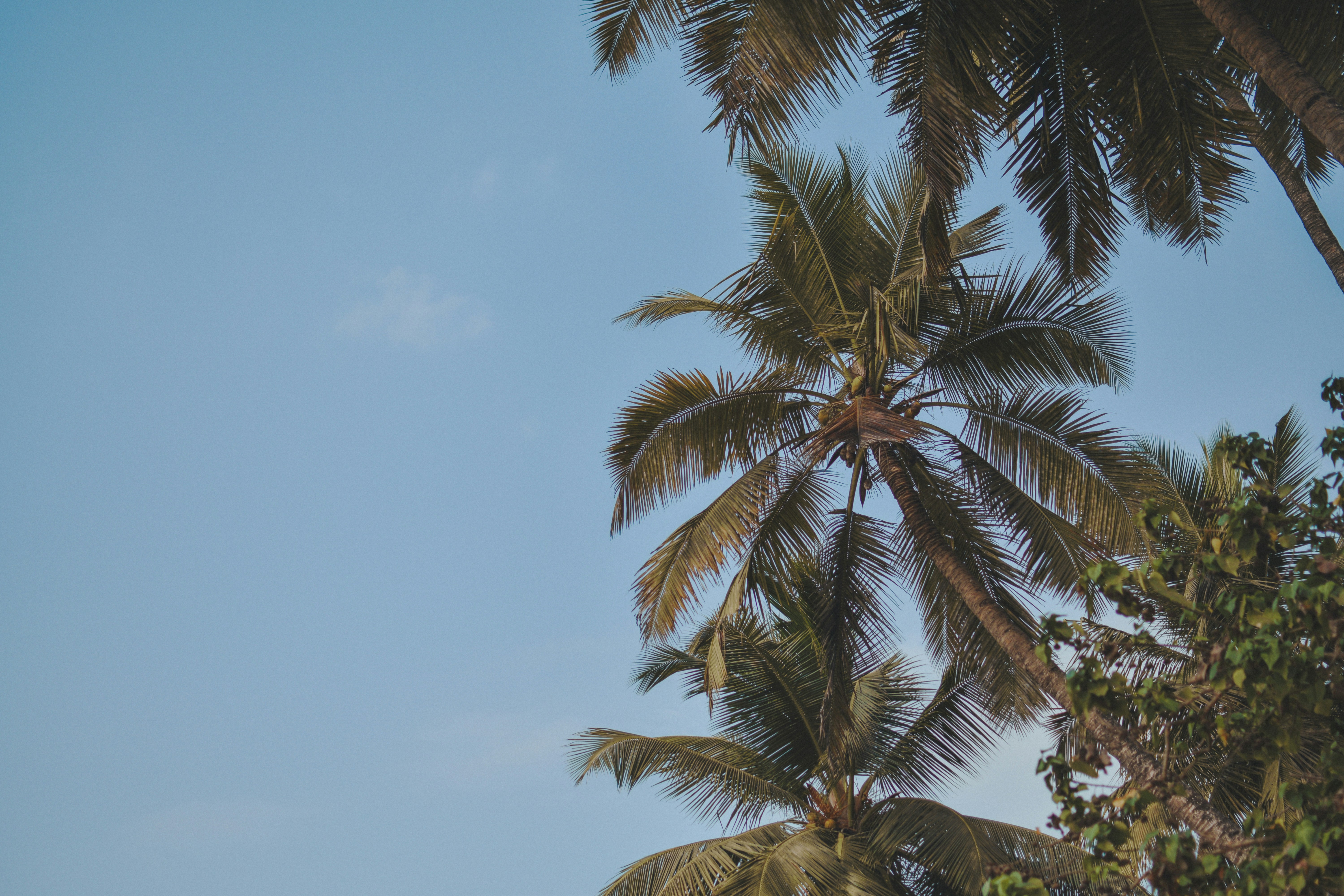 Photo by mohnishlandge