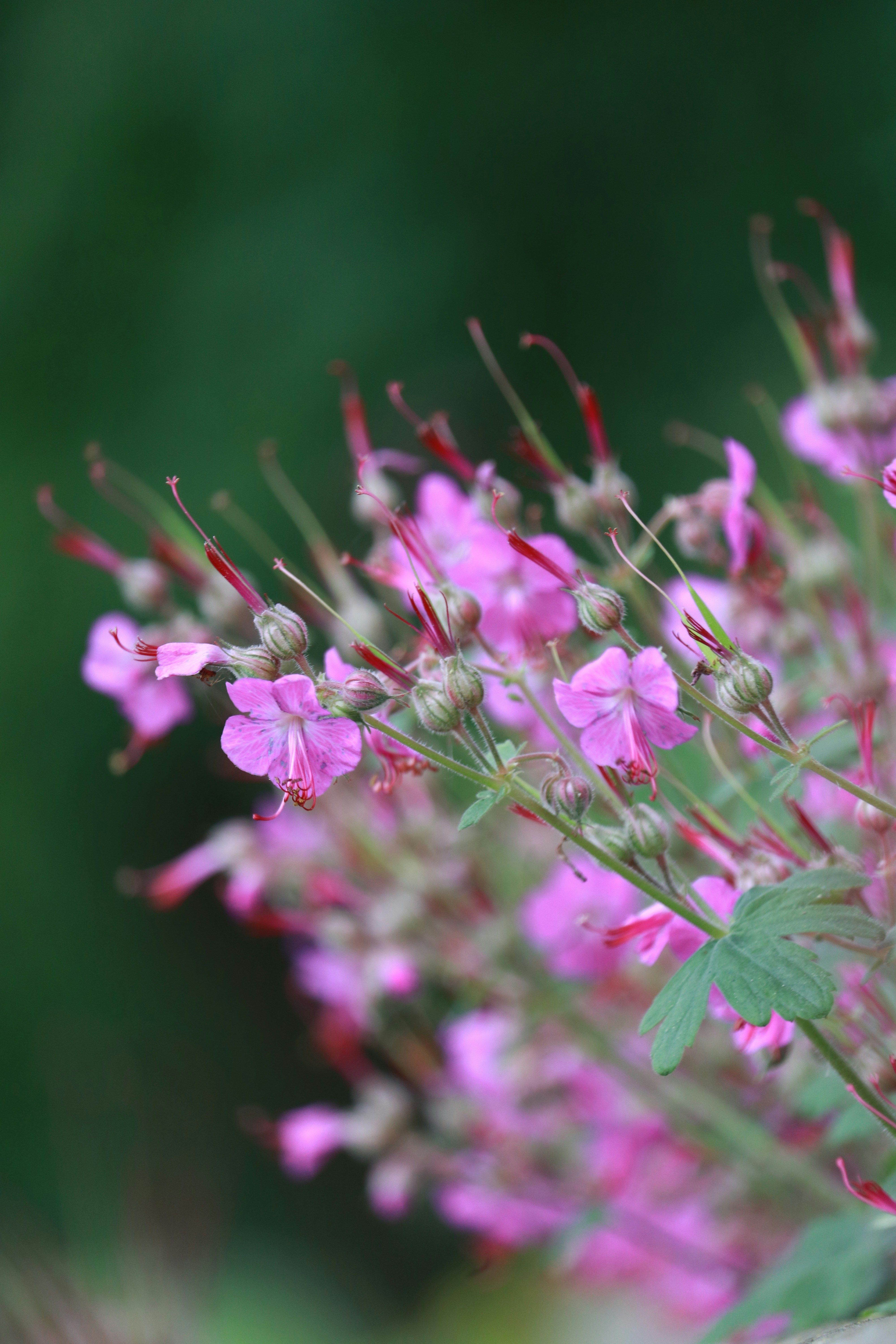 Photo by dhruv_padaliya