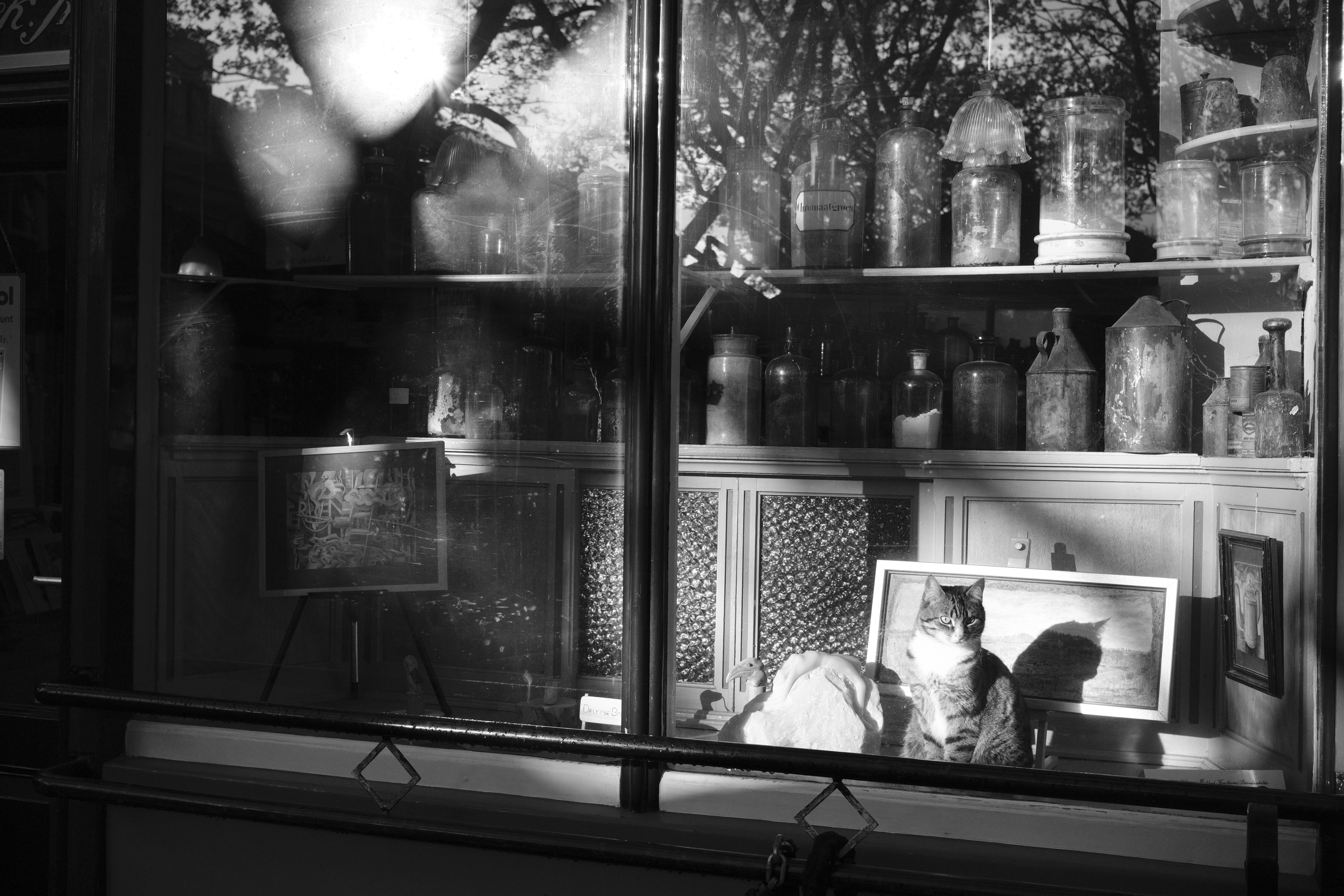 Photo by davidephotos