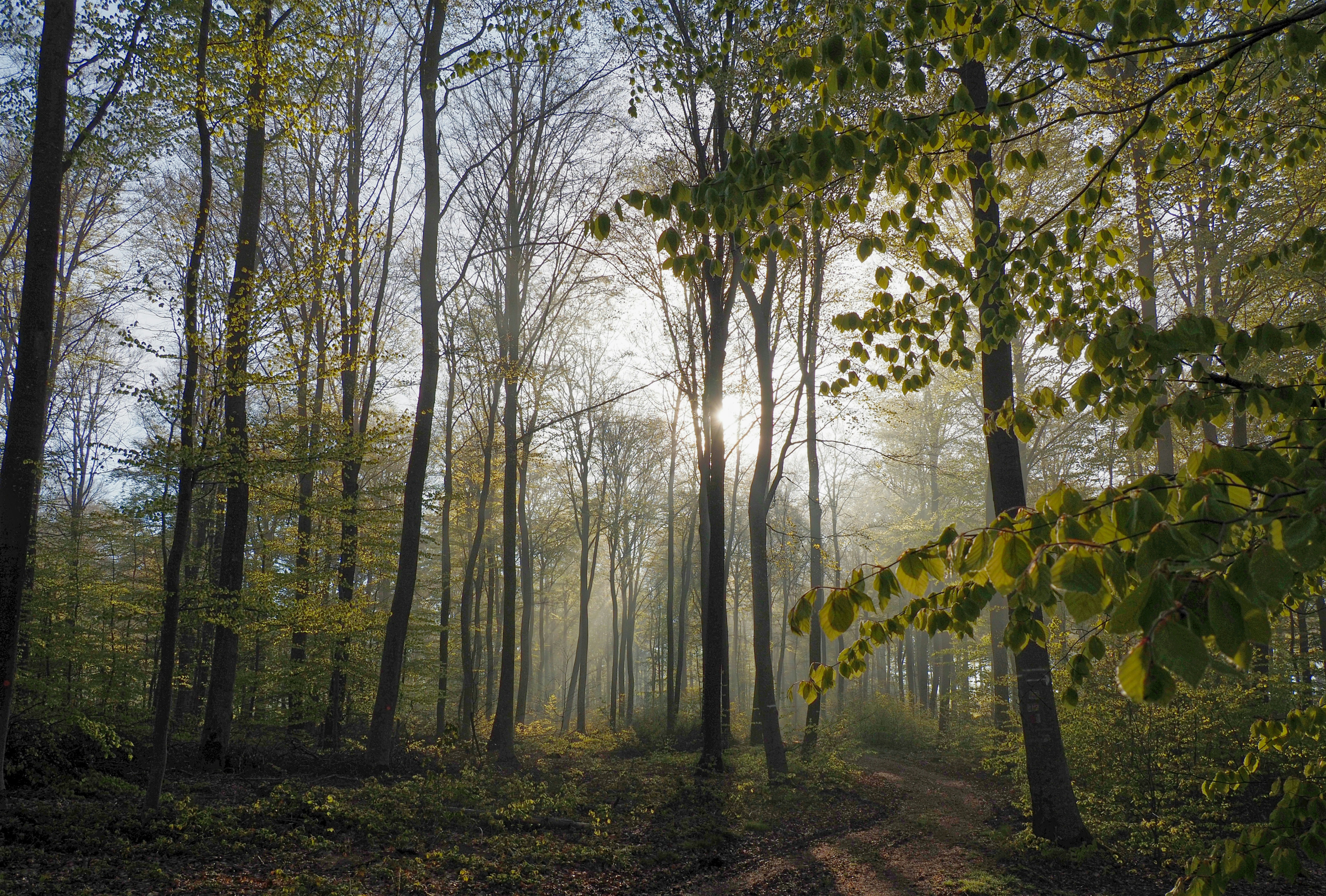 Photo by ejfotografik