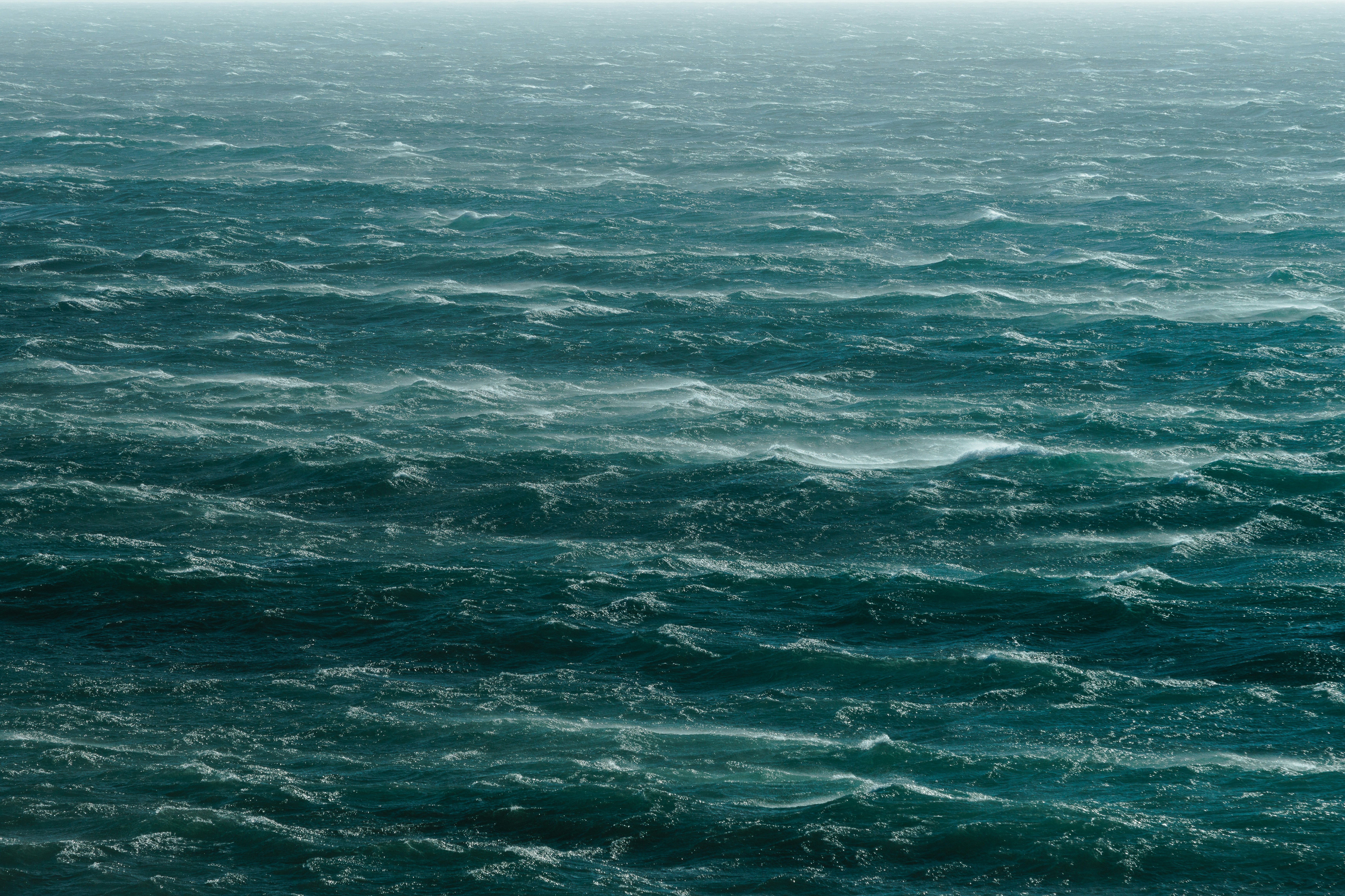 Photo by daniel_pascoa