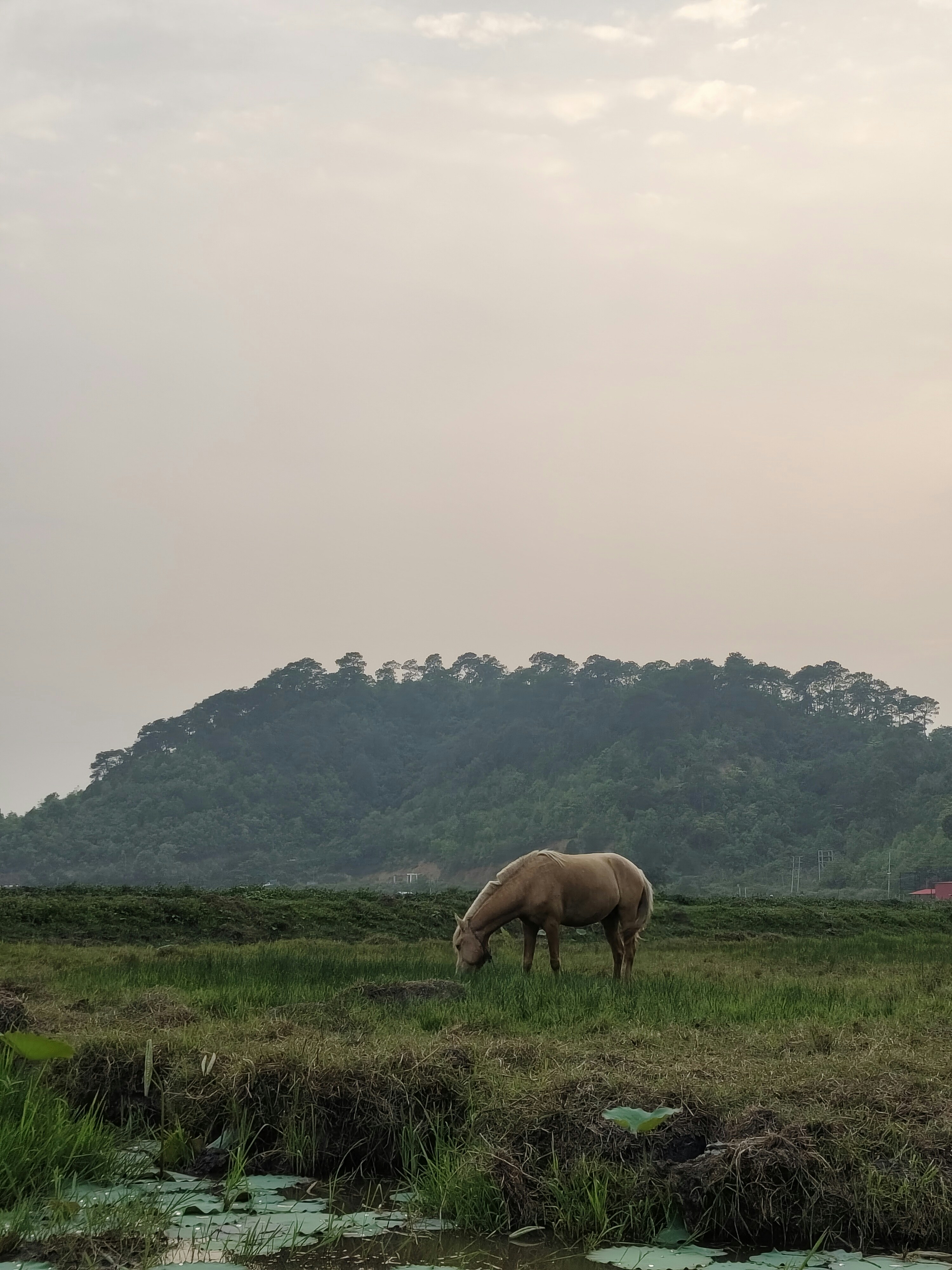 Photo by kushalmang1