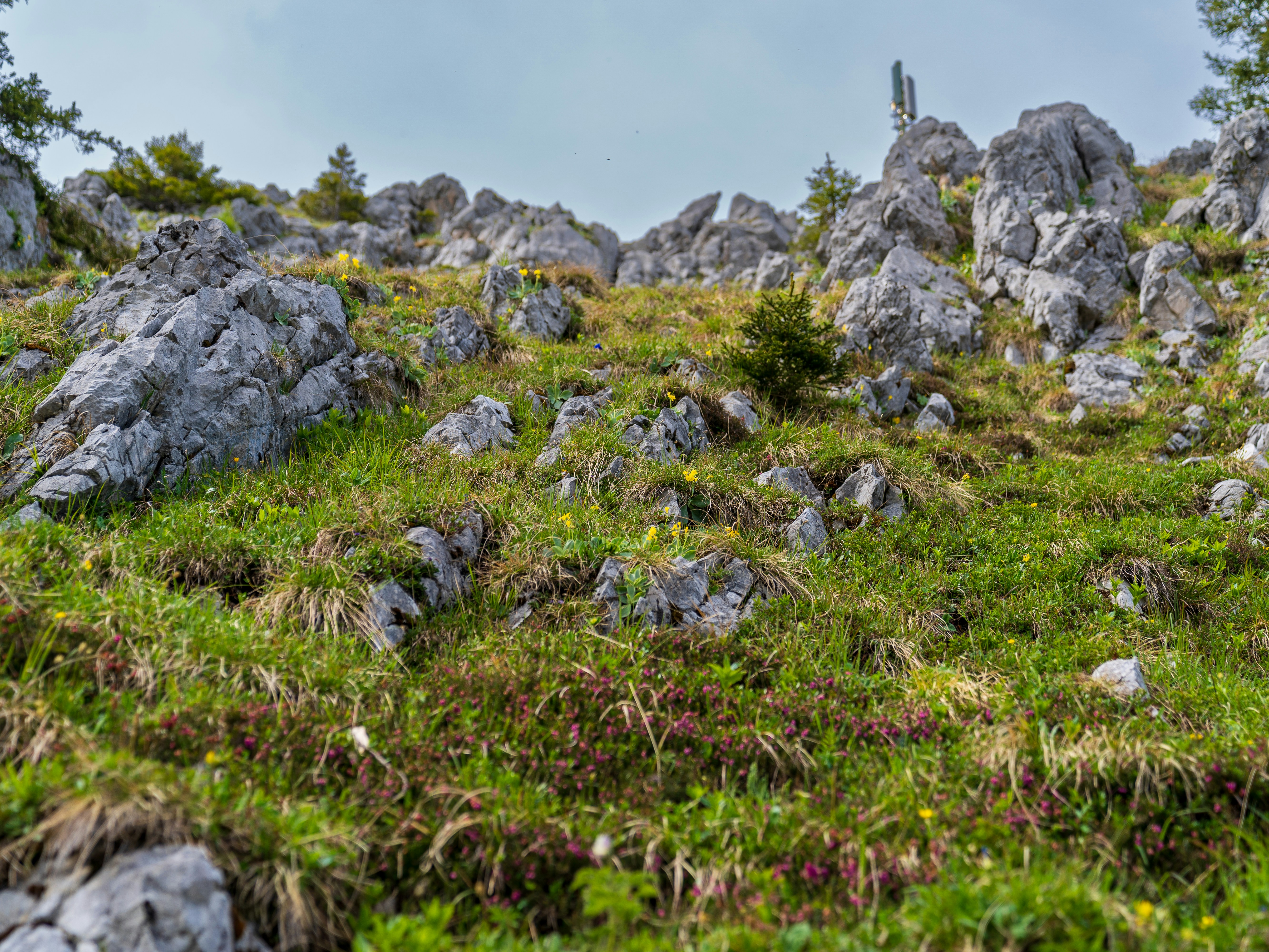 Photo by bangscreative