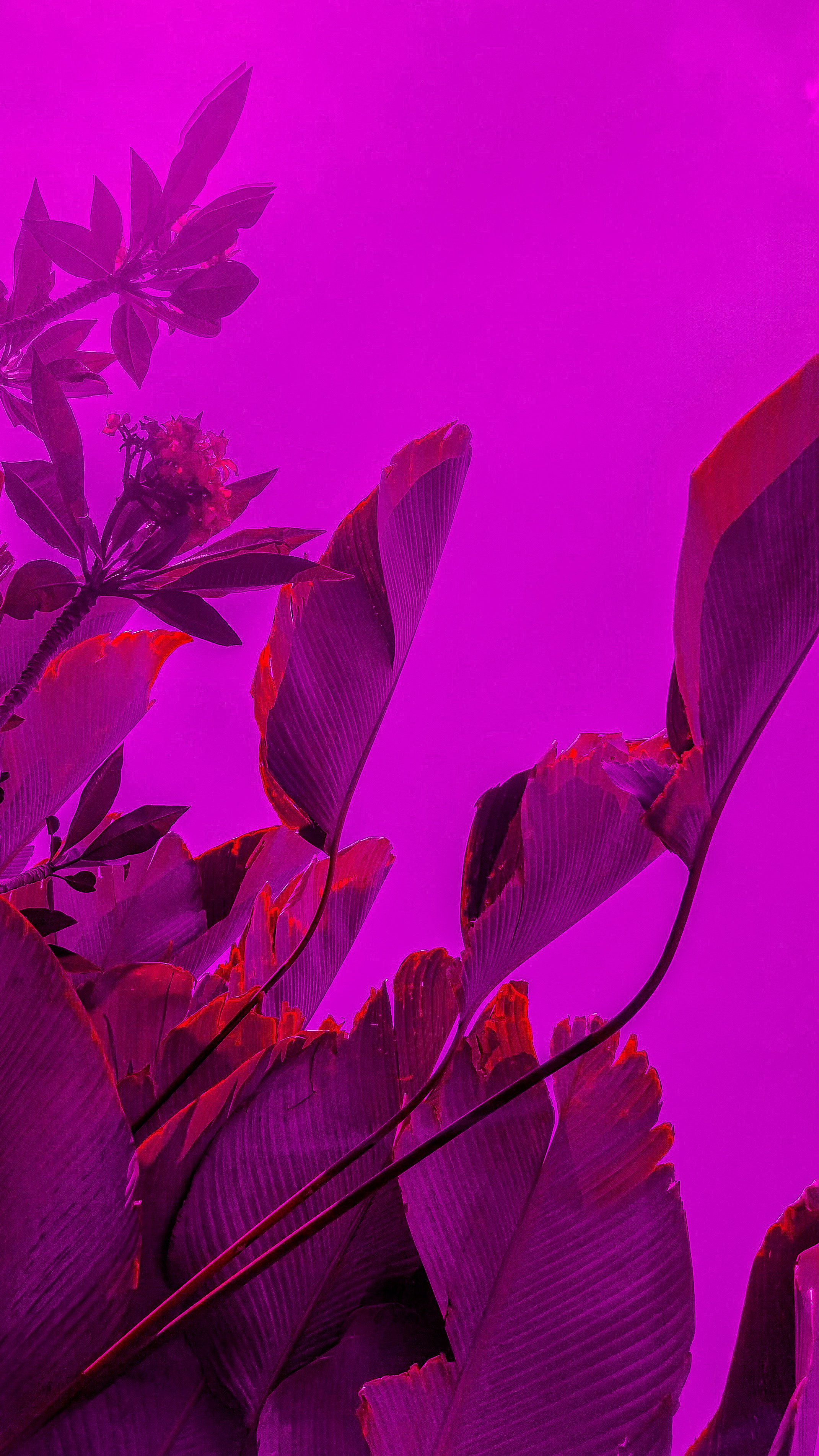 Photo by waysmdisk25