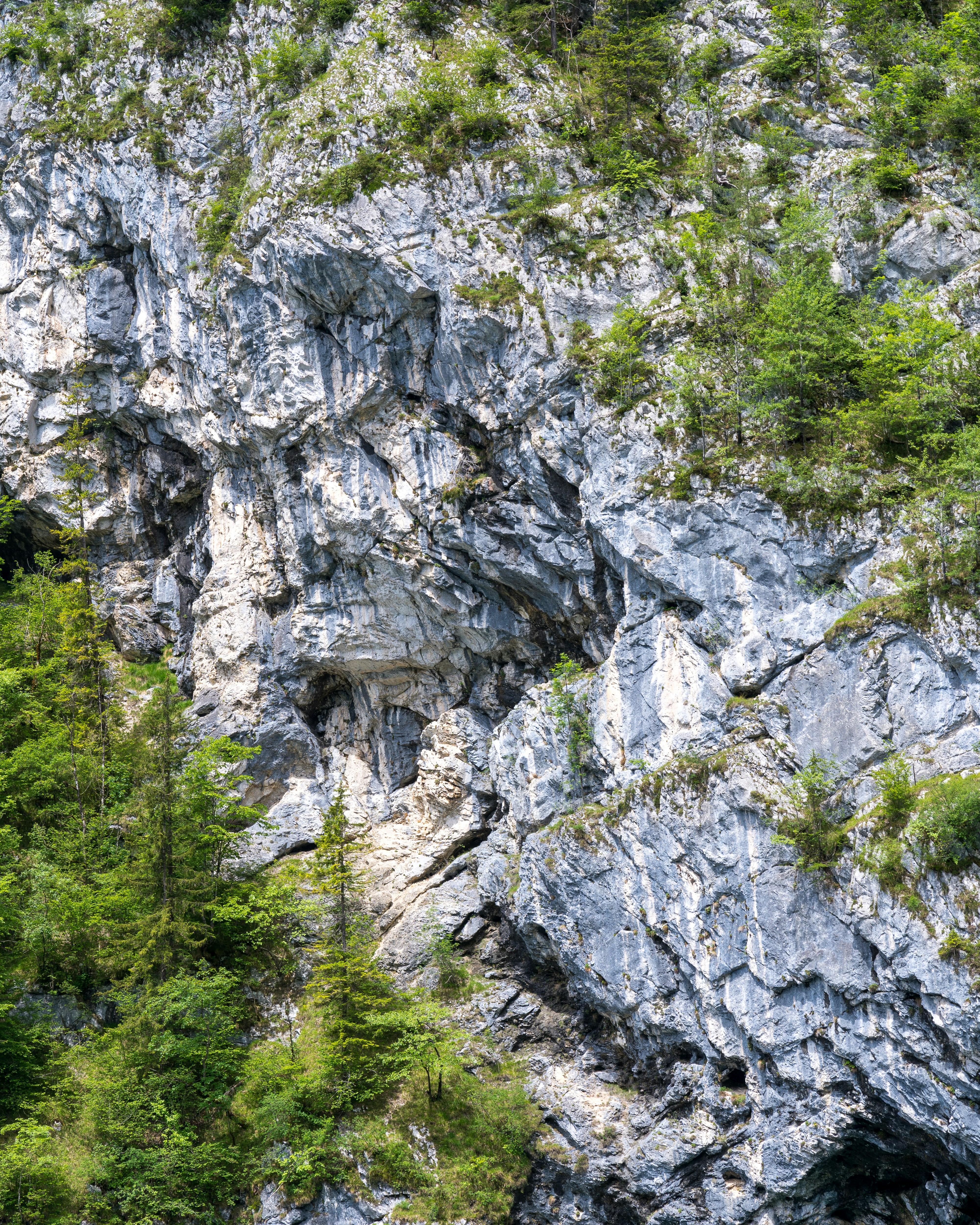 Photo by bangscreative