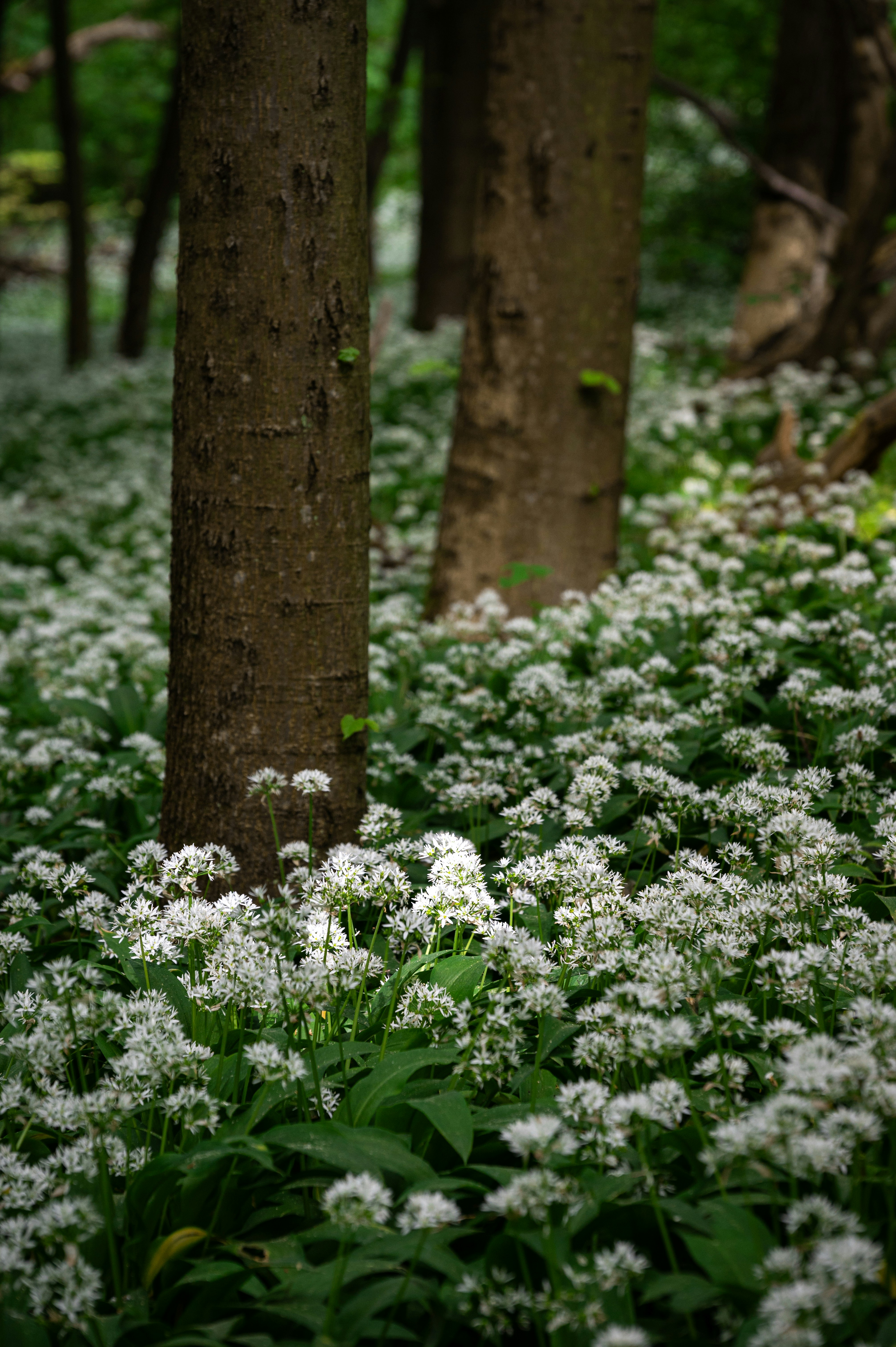 Photo by alexandra_p_d