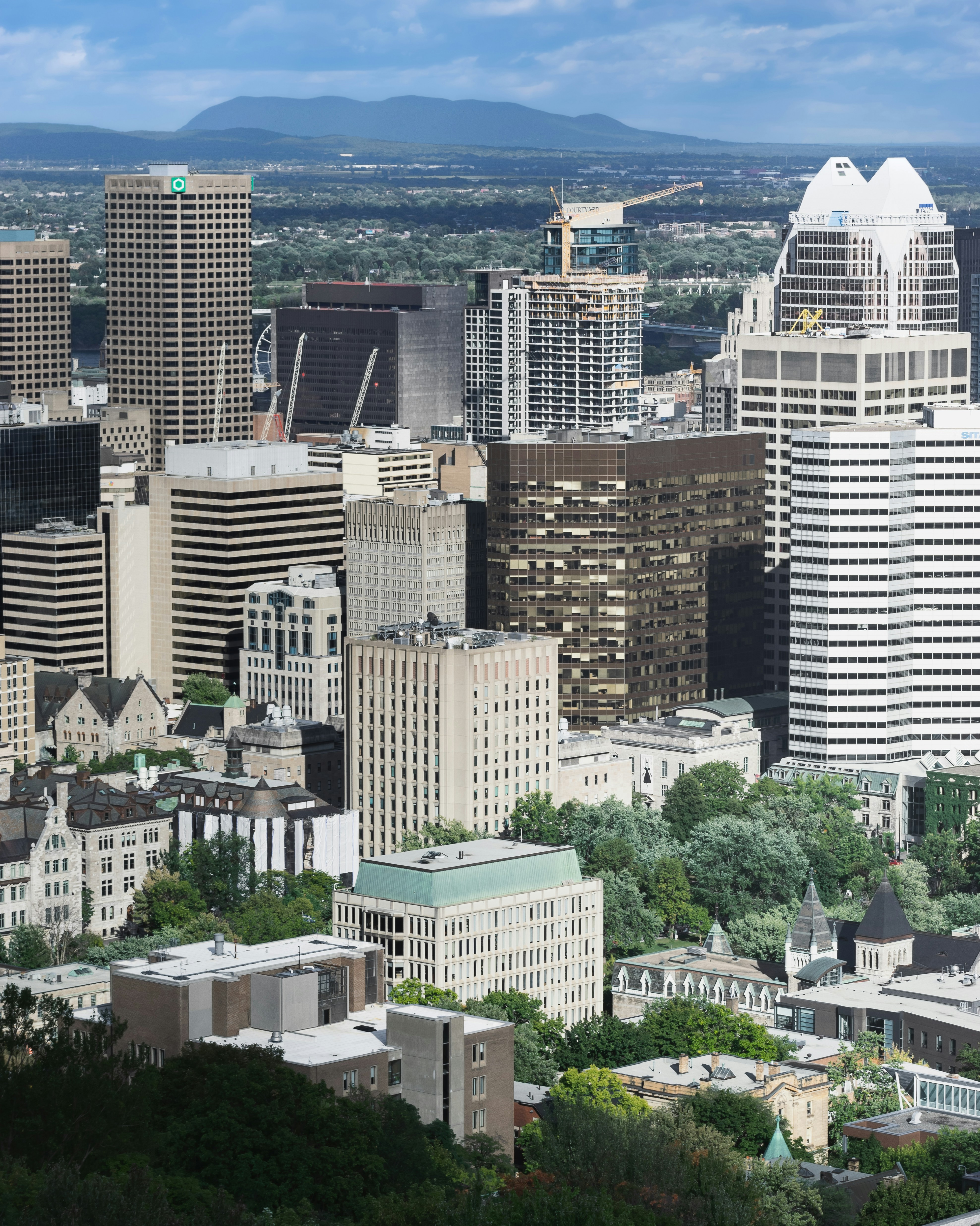 a city with a lot of tall buildings