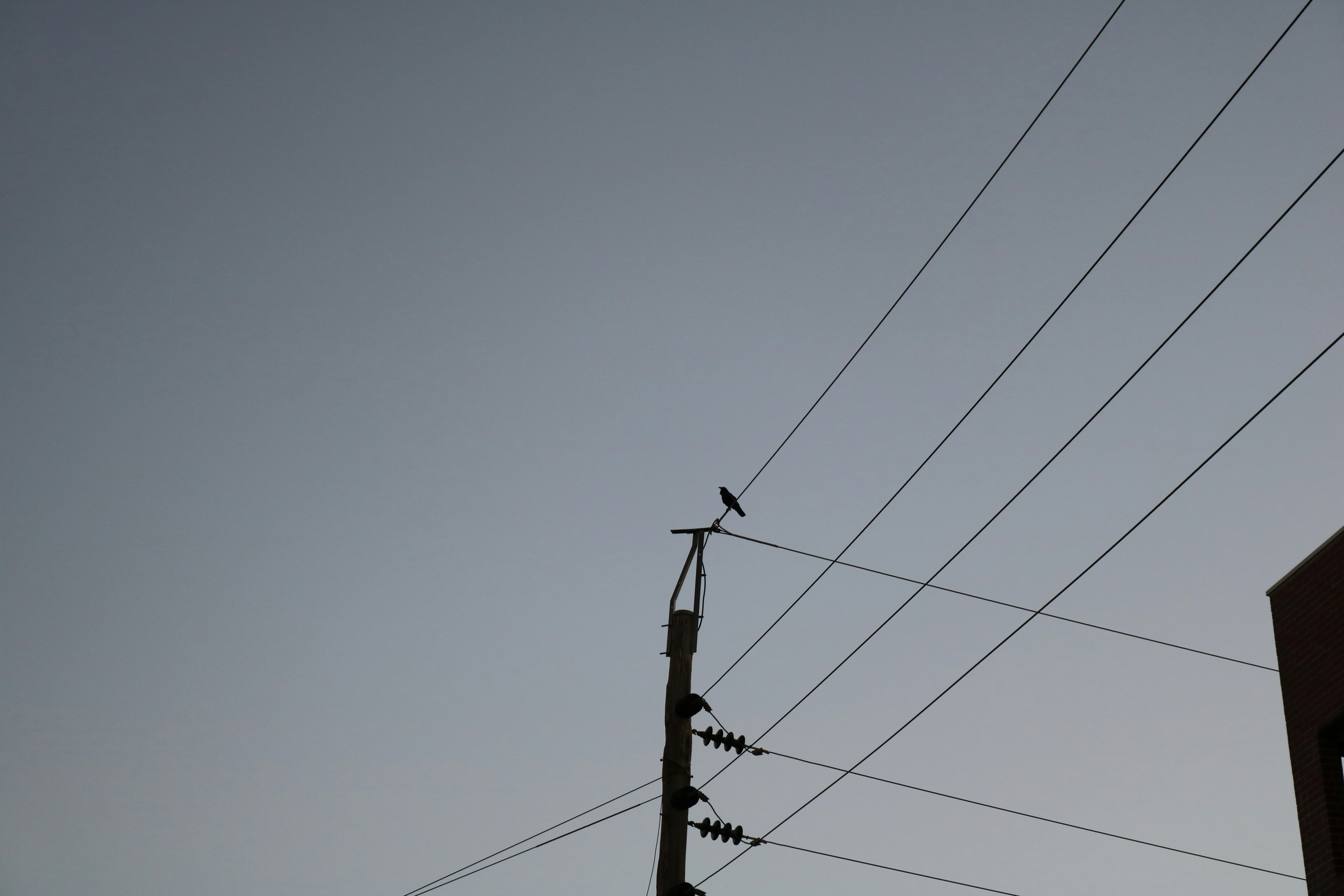 Photo by uyennguyen2401