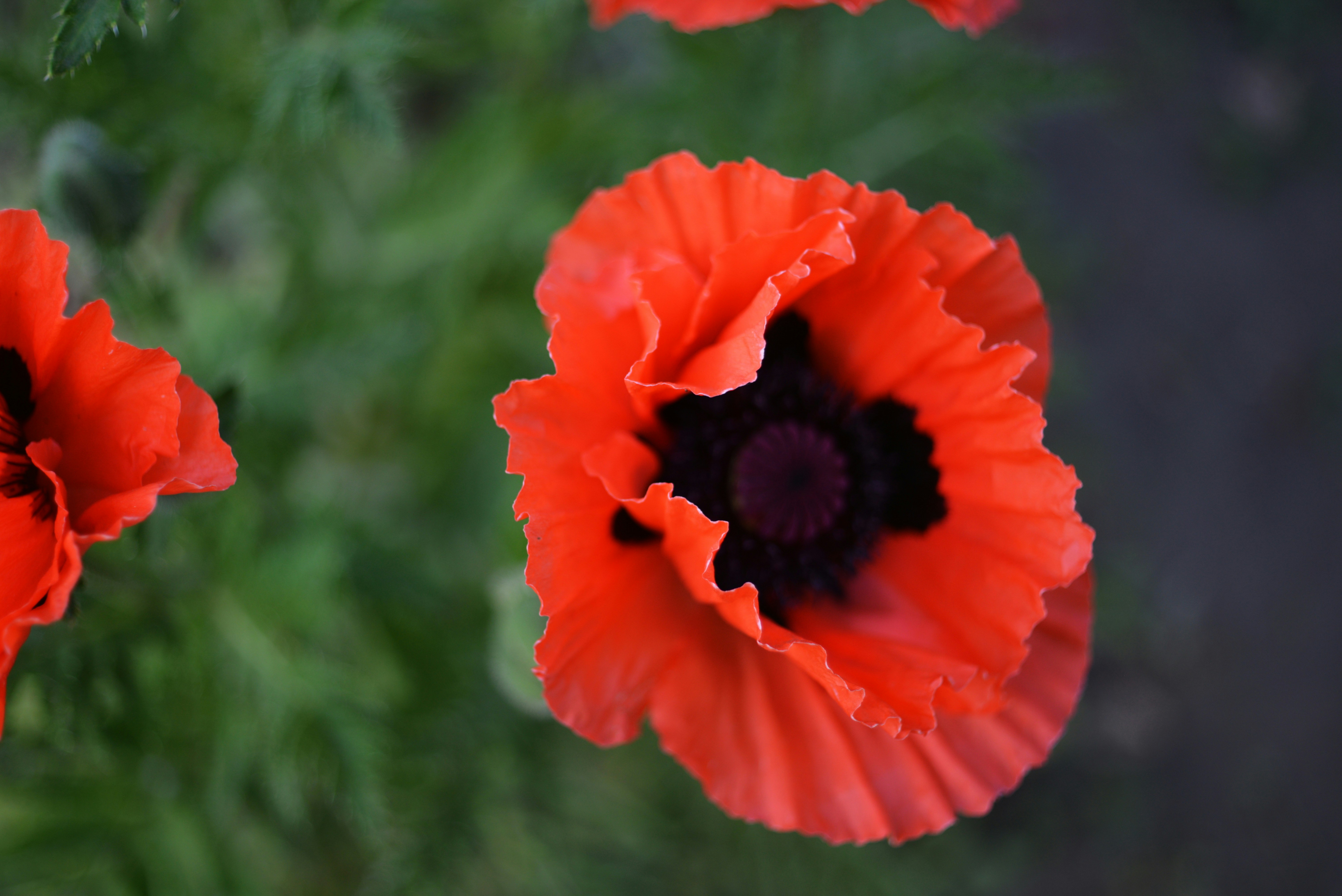 Photo by cherstve_pechivo