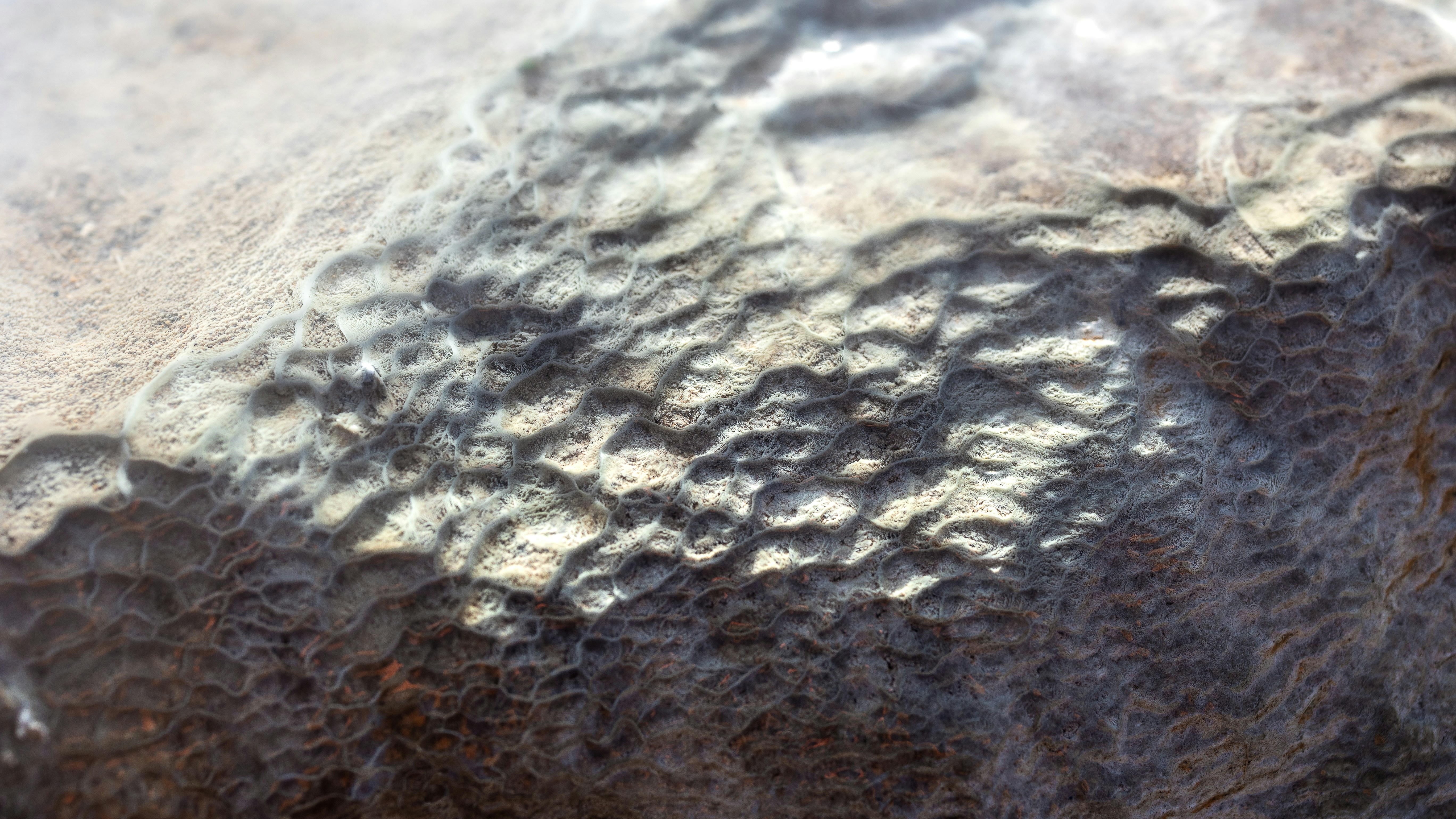 Photo by marekpiwnicki