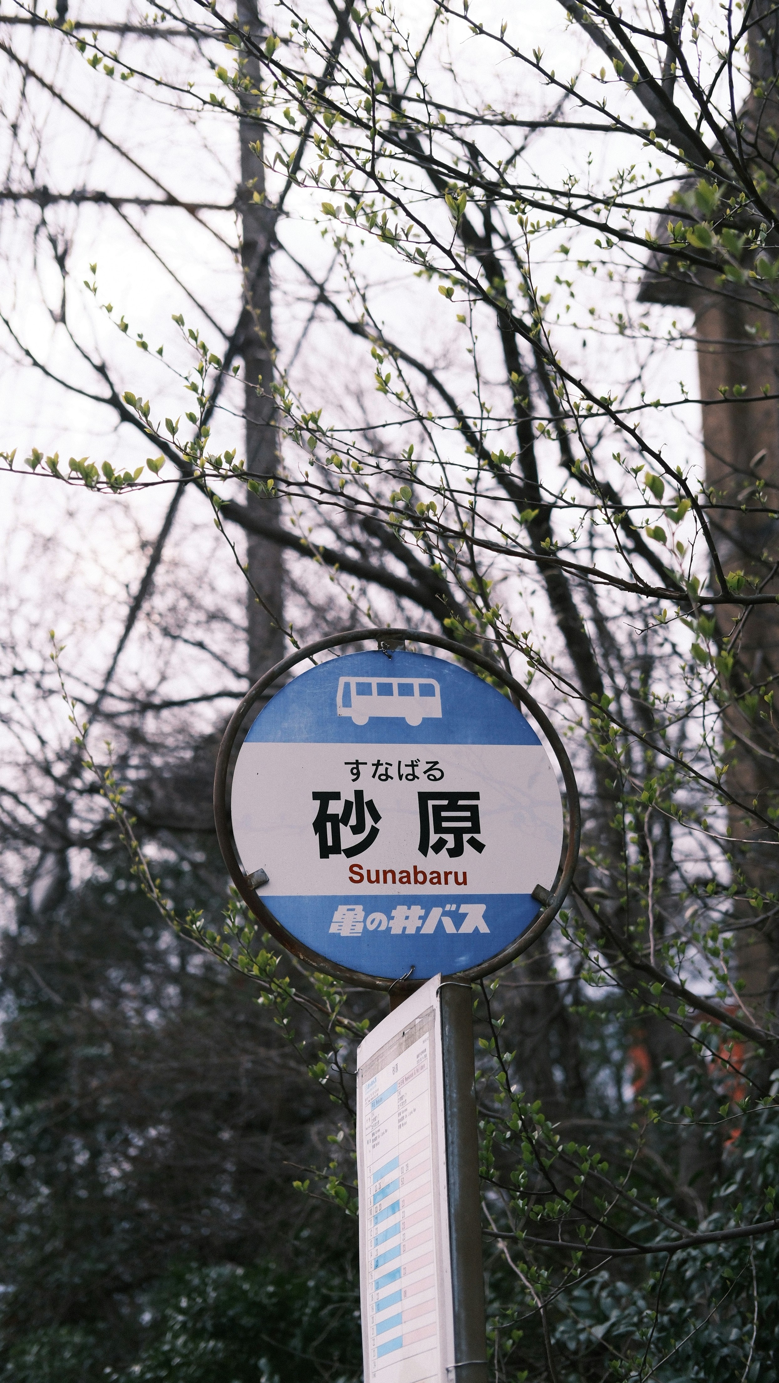 Japan rural railway autumn landscape