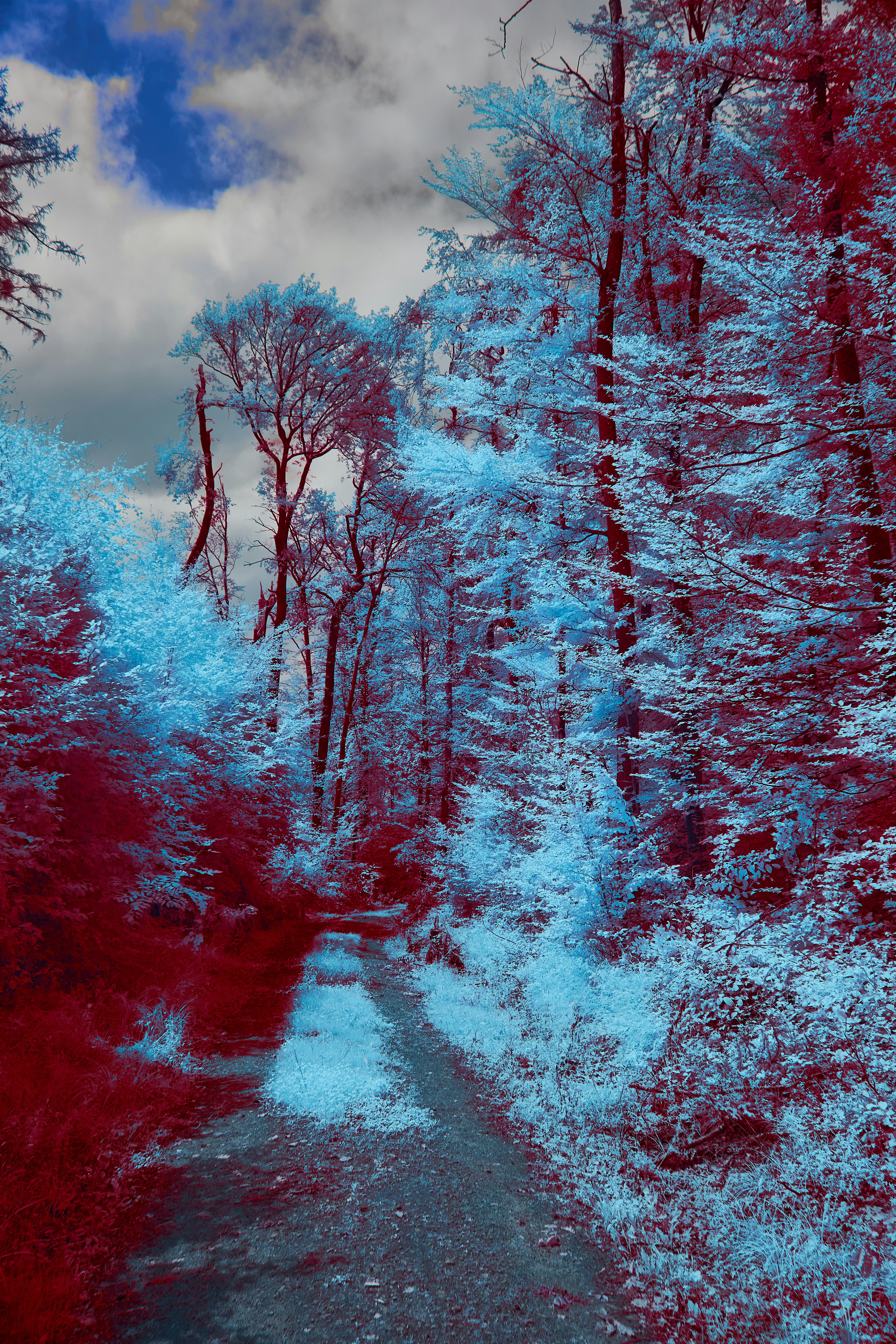 Photo by wolfgang_hasselmann