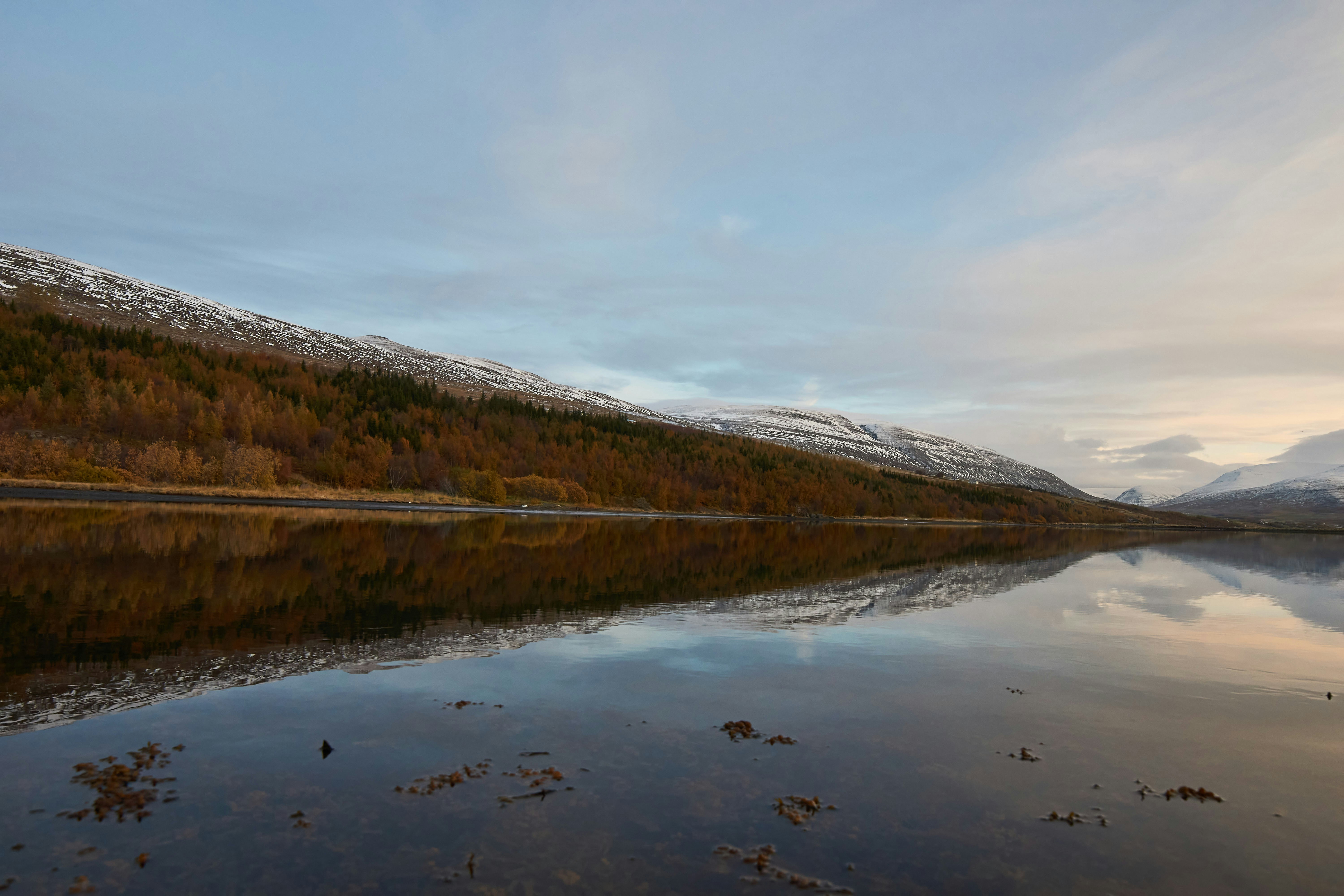 Photo by wolfgang_hasselmann