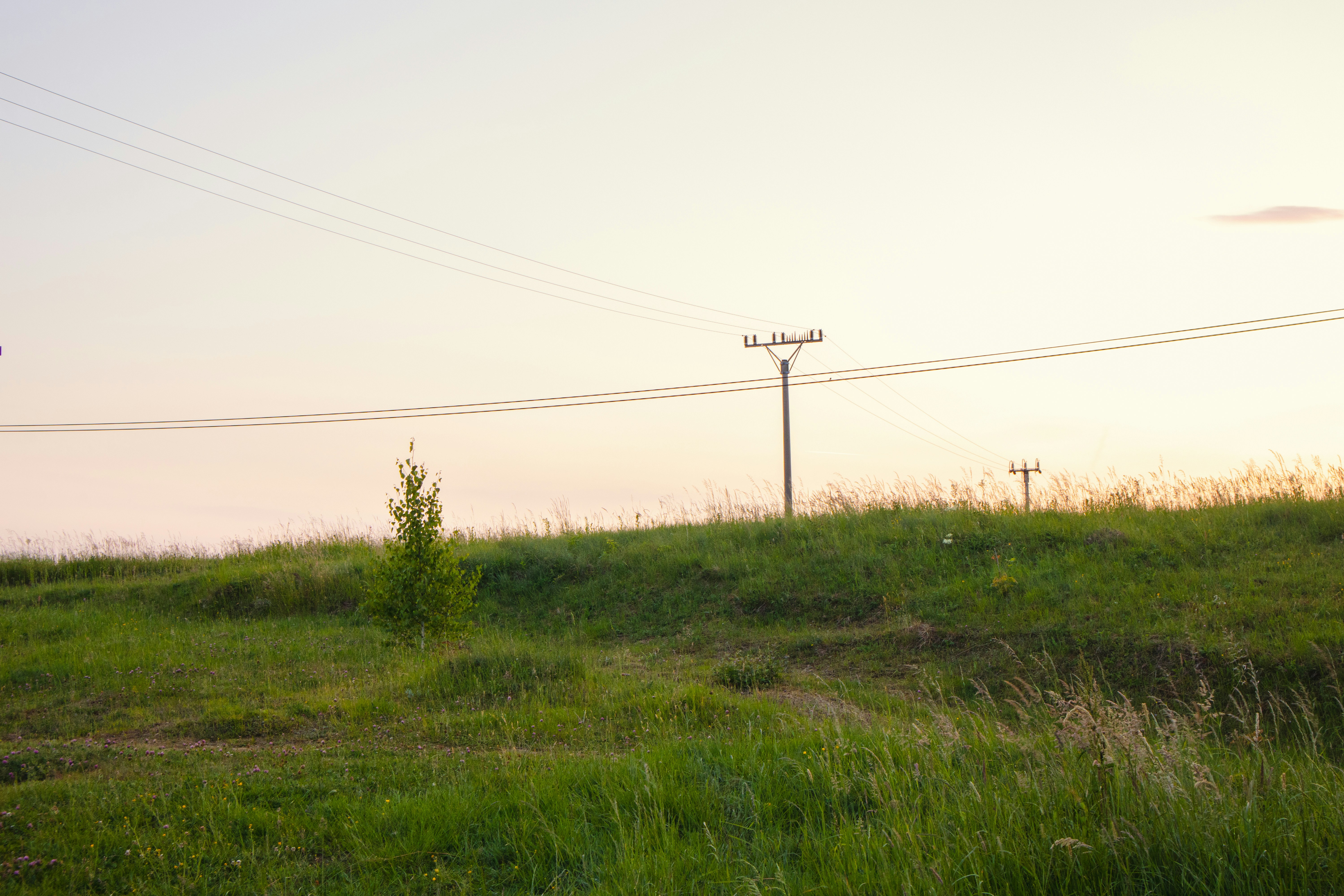 Photo by marko_lengyel