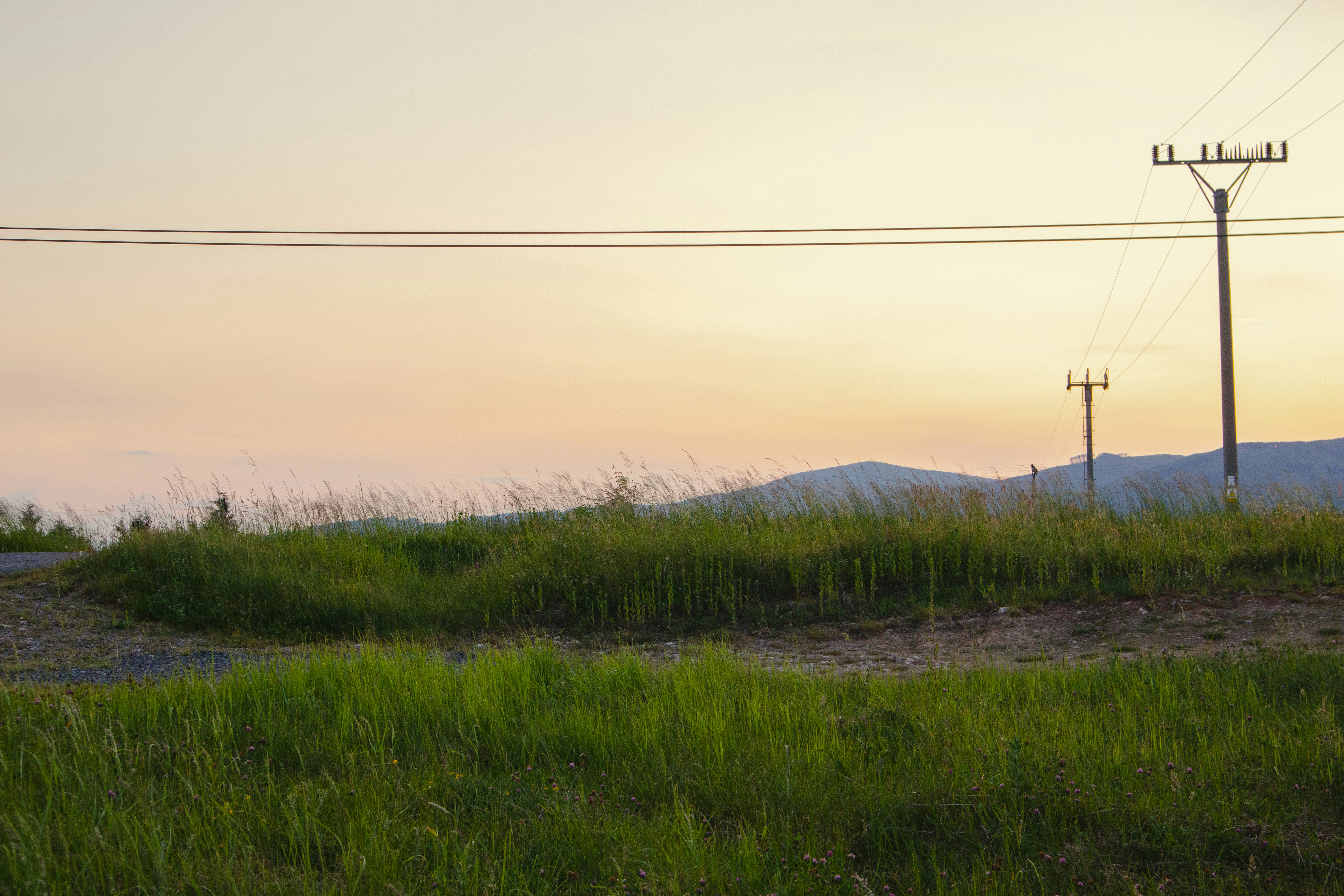 Photo by marko_lengyel