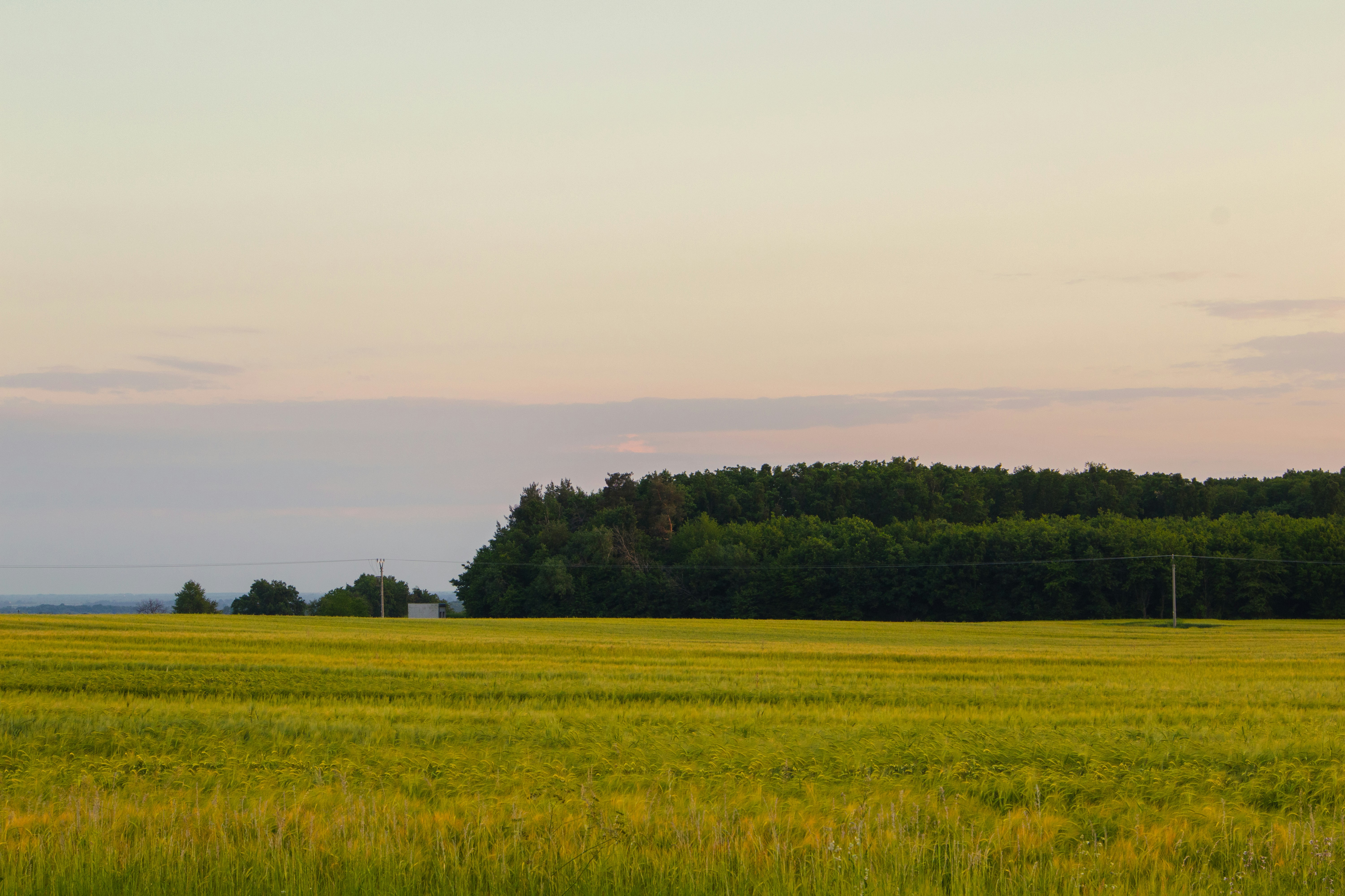 Photo by marko_lengyel