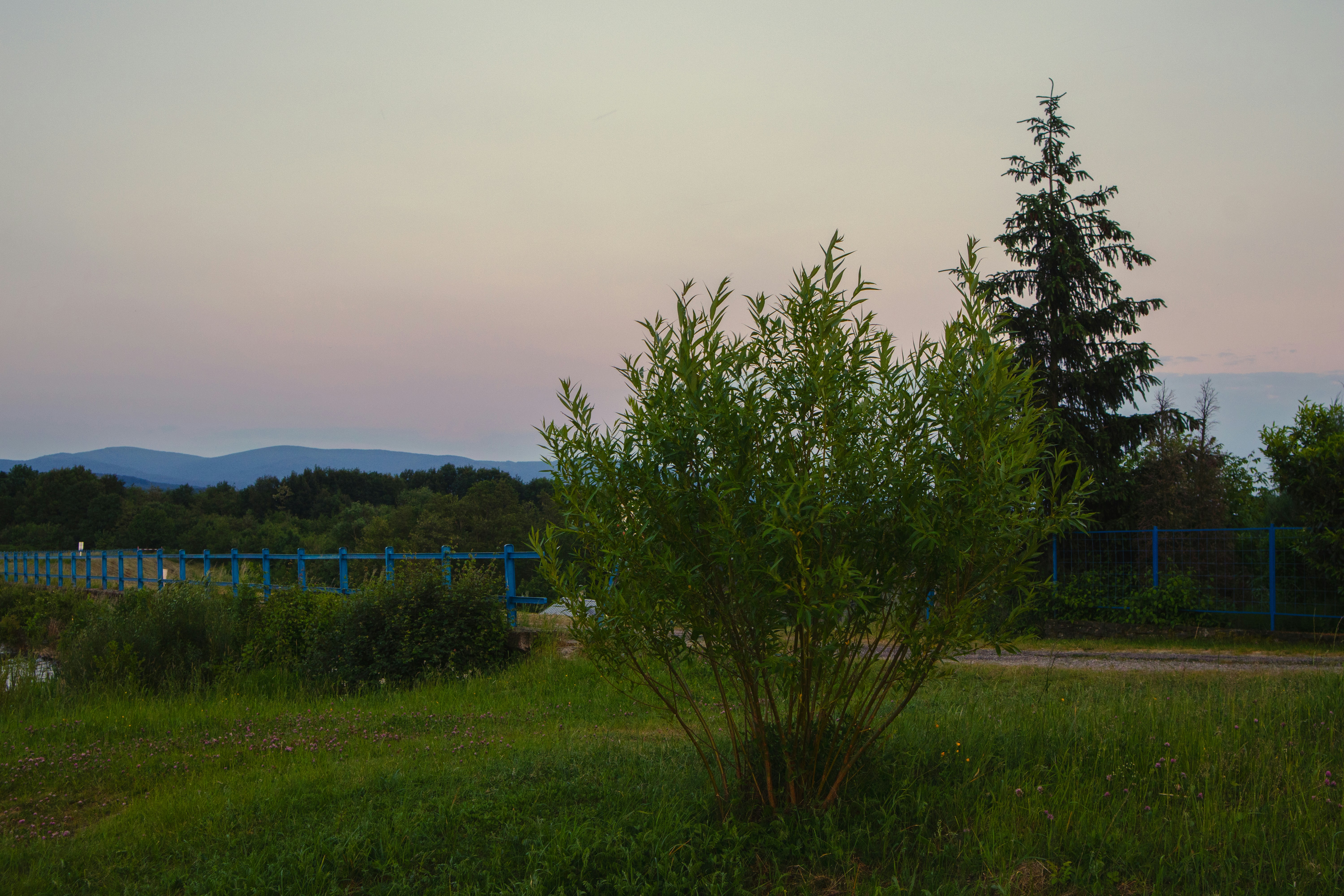 Photo by marko_lengyel